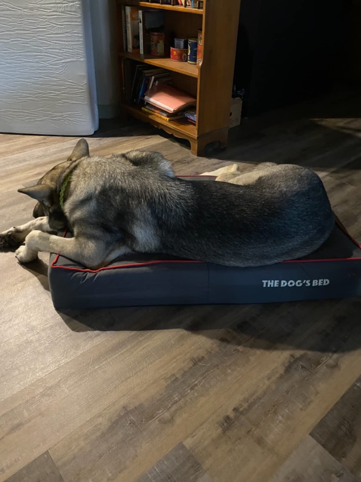 The Dog's Bed Orthopedic Memory Foam Dog Bed for Medium Dogs, Waterproof Washable Cover, Anti-Slip Base, Calming Surface - CertiPUR-Certified Foam, Blue with Red Trim USA Center Flag, 4 Inch Thick customer photo 1