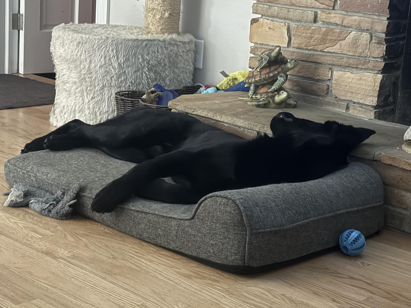 The Dog's Bed Orthopedic Memory Foam Dog Bed with Headrest, Calming Surface - CertiPUR-Certified Foam, Oxford Fabric, Blue with Red Trim USA Flag, Large, 6-Inch customer photo 2