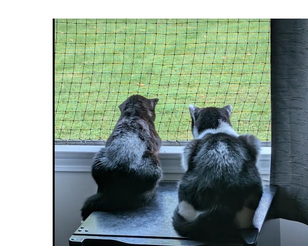 Lewondr Cat Netting Balcony, 10x13ft Steel Wire Reinforced Balcony Screen for Pets, Anti-Fall Pet Mesh Fence Cat Safety Net for Balcony, Window, Stair, Patio customer photo 2