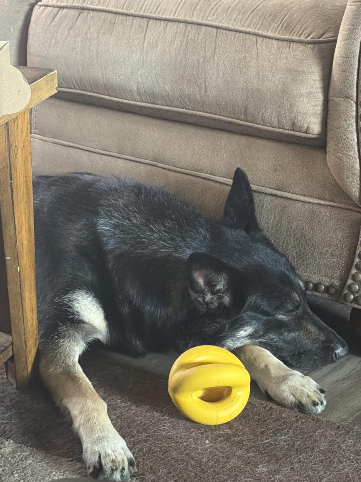 Indestructible Dog Ball - Lifetime Replacement - Durable Dog Toy for Aggressive Chewers - Safe, Non-Toxic Natural Rubber - Chew, Tug & Fetch - Tough, Heavy Duty Chew Toy - 4