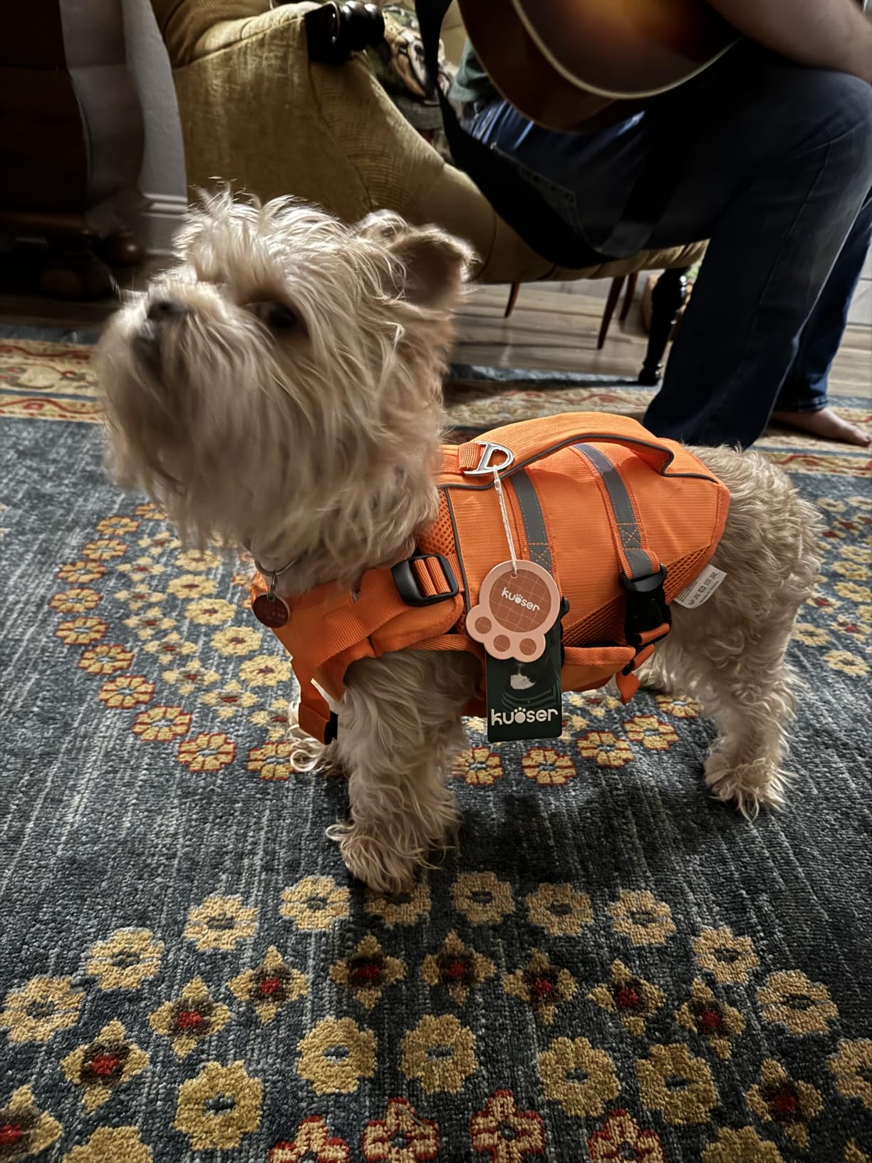 Kuoser Dog Life Jacket, High Flotation Dog Life Vest for Swimming Boating, Adjustable Ripstop Pet Lifesaver, Reflective Safety Puppy Swimming Vest with Rescue Handle customer photo 2