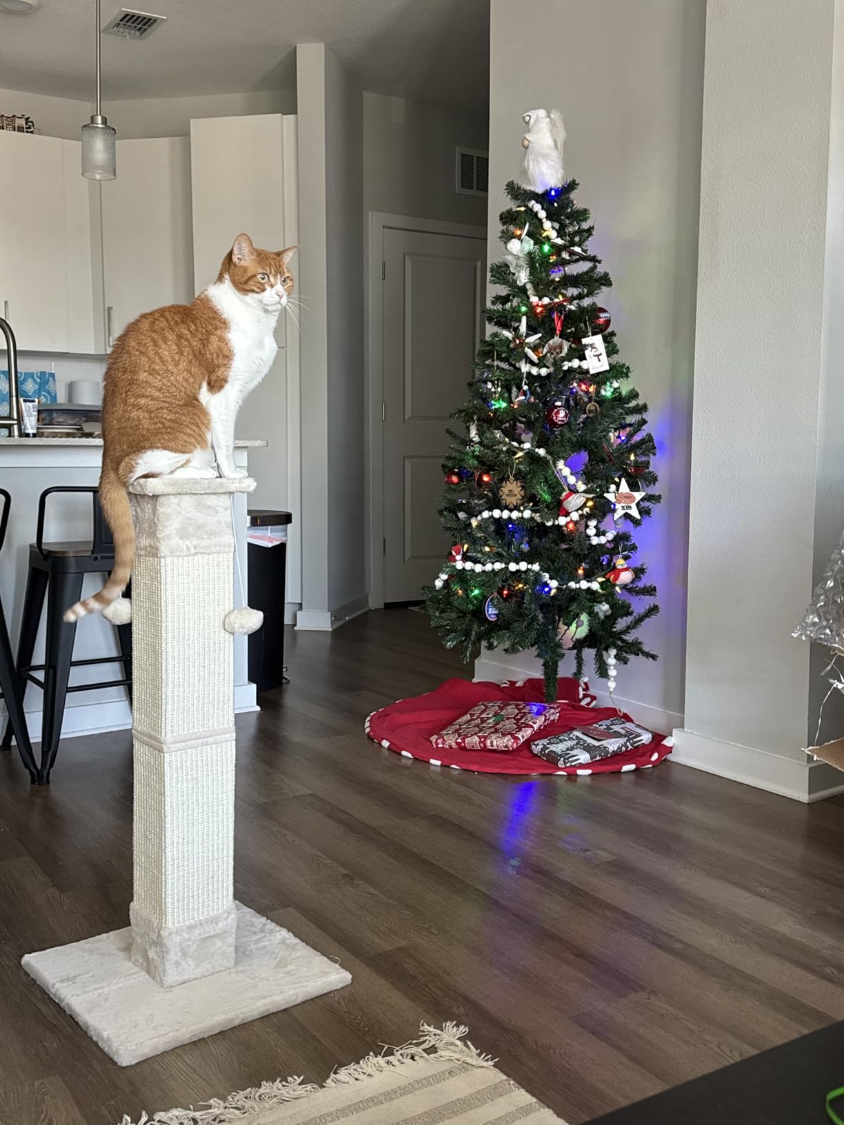 SOCATER Cat Scratching Post 33 Inch Nature Sisal Cat Scratch Post for Indoor Cats customer photo 2