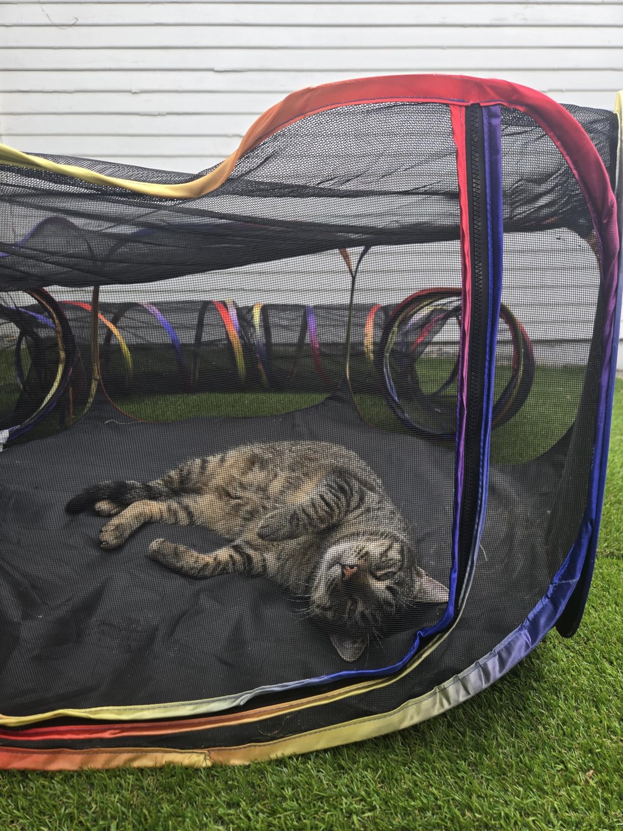 Outdoor Cat Enclosure - Portable Catio Playground for Cat Run, Kitty and Small Animals - Tent & Tunnels for Outside and Indoor Play customer photo 1