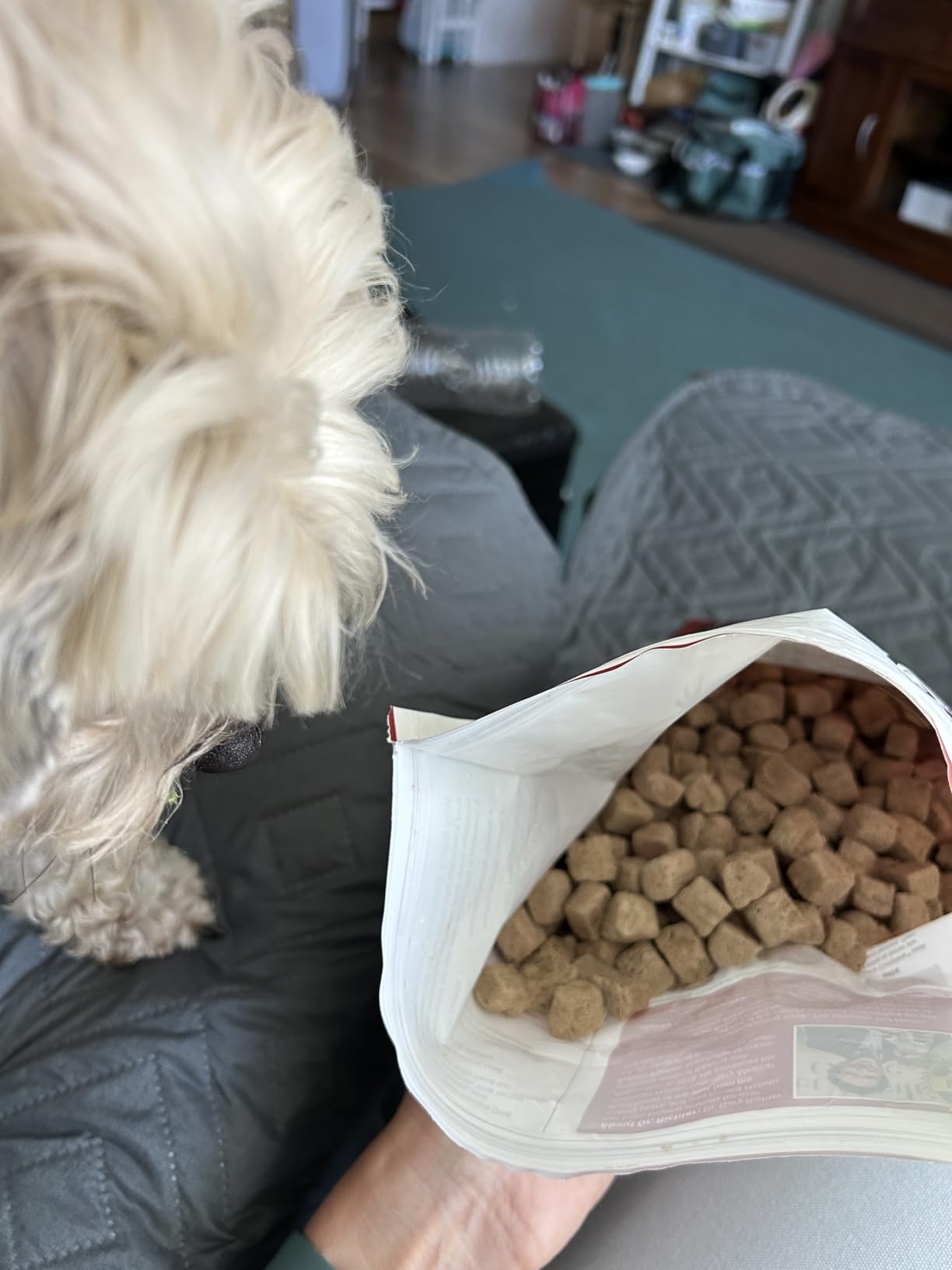 ULTIMATE PET NUTRITION Nutra Complete, 100% Freeze Dried Raw Veterinarian Formulated Dog Food with Antioxidants Prebiotics and Amino Acids (1 Pound, Beef) customer photo 1