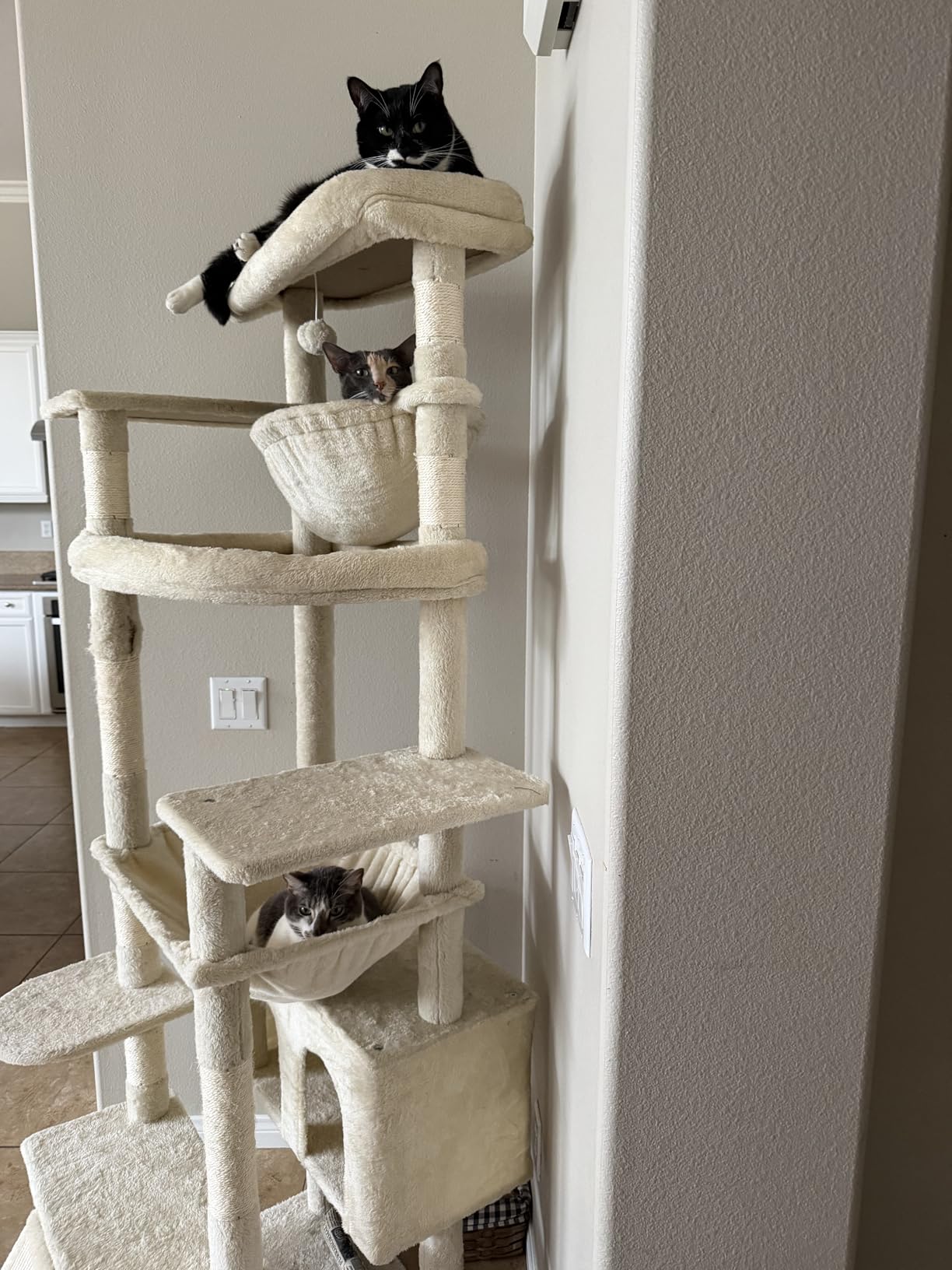 Heybly Cat Tree, 71-Inch-Tall Tower for Indoor Cats with 2 Perches, 2 Big Condos, 2 Hammocks, Basket, Scratching Pad, Large Cat Furniture and Condo, Smoky Gray HCT034G customer photo 1