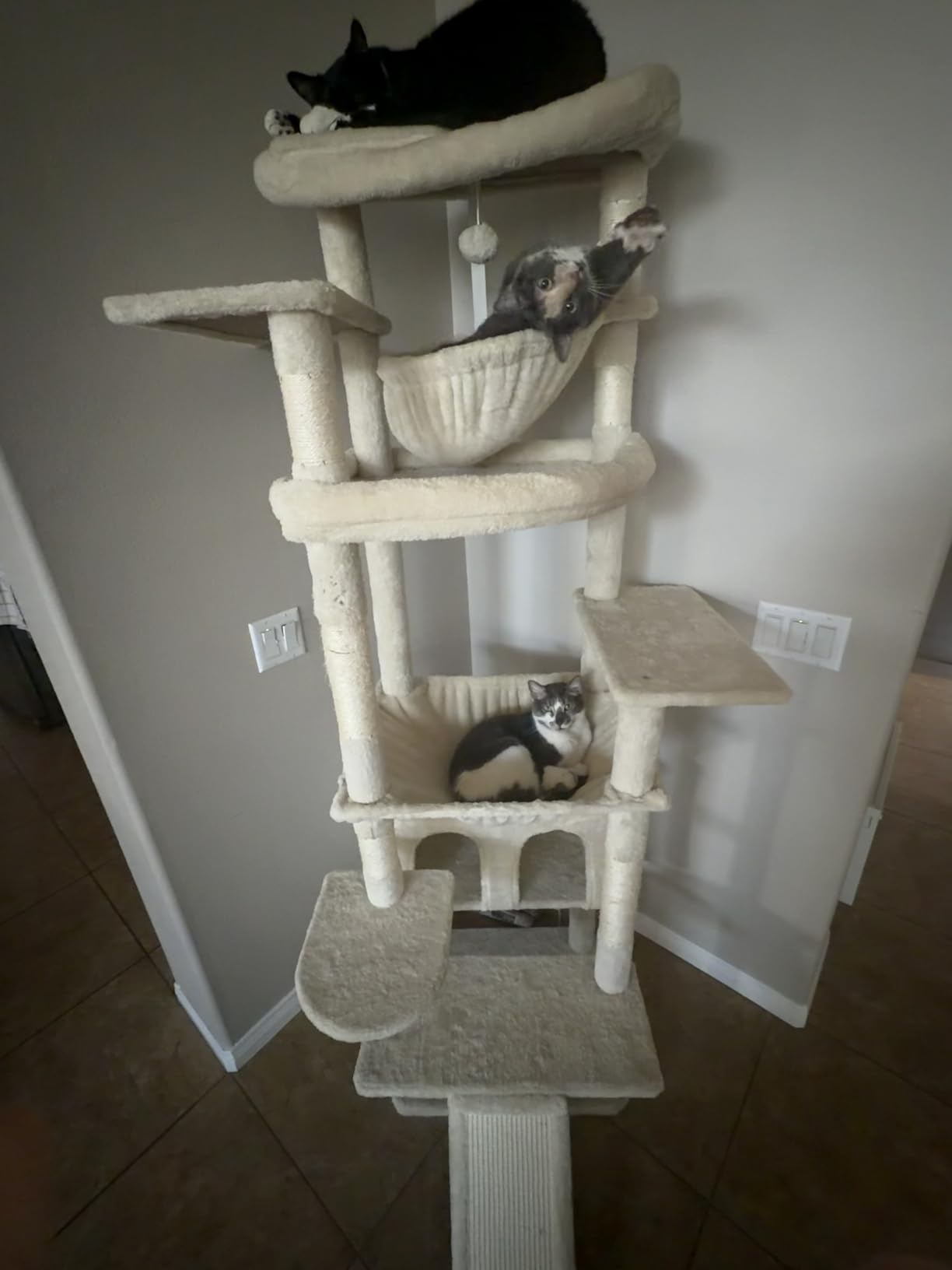 Heybly Cat Tree, 71-Inch-Tall Tower for Indoor Cats with 2 Perches, 2 Big Condos, 2 Hammocks, Basket, Scratching Pad, Large Cat Furniture and Condo, Smoky Gray HCT034G customer photo 2