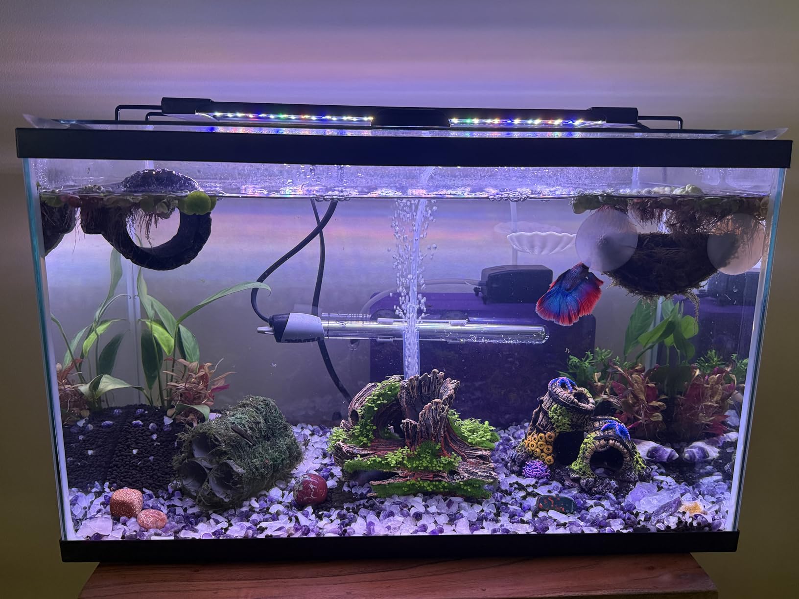 AQQA LED Aquarium Light, 24/7 Mode IP68 Waterproof Extendable Bracket Fish Tank Light, DIY Mode Full Spectrum Aquarium Plant Light, Adjustable Timer/Brightness Memory Function for 40-48 Inch Fish Tank customer photo 1