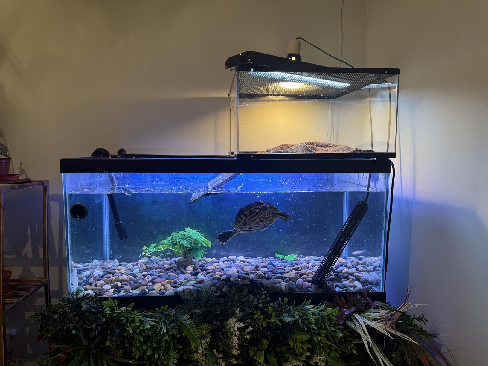 AQQA LED Aquarium Light, 24/7 Mode IP68 Waterproof Extendable Bracket Fish Tank Light, DIY Mode Full Spectrum Aquarium Plant Light, Adjustable Timer/Brightness Memory Function for 40-48 Inch Fish Tank customer photo 2