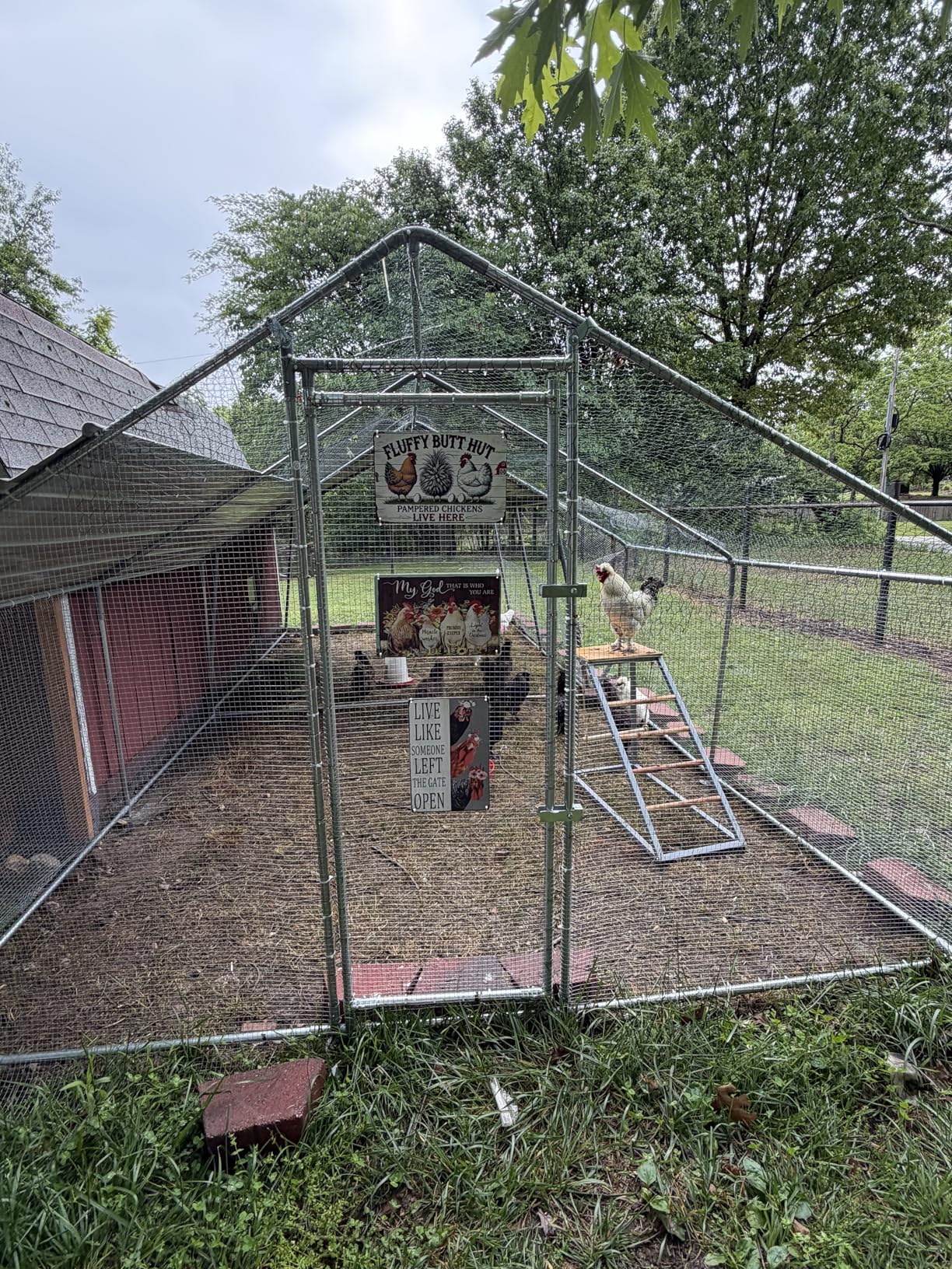 VEVOR Large Metal Chicken Coop, 9.8x13.1x6.5 ft Large Walk in Chicken Runs for Yard with Cover, Hen House Enclosure with Security Lock, Outdoor Duck Rabbit Cage Poultry Pen for Backyard, Farm, Yard customer photo 1