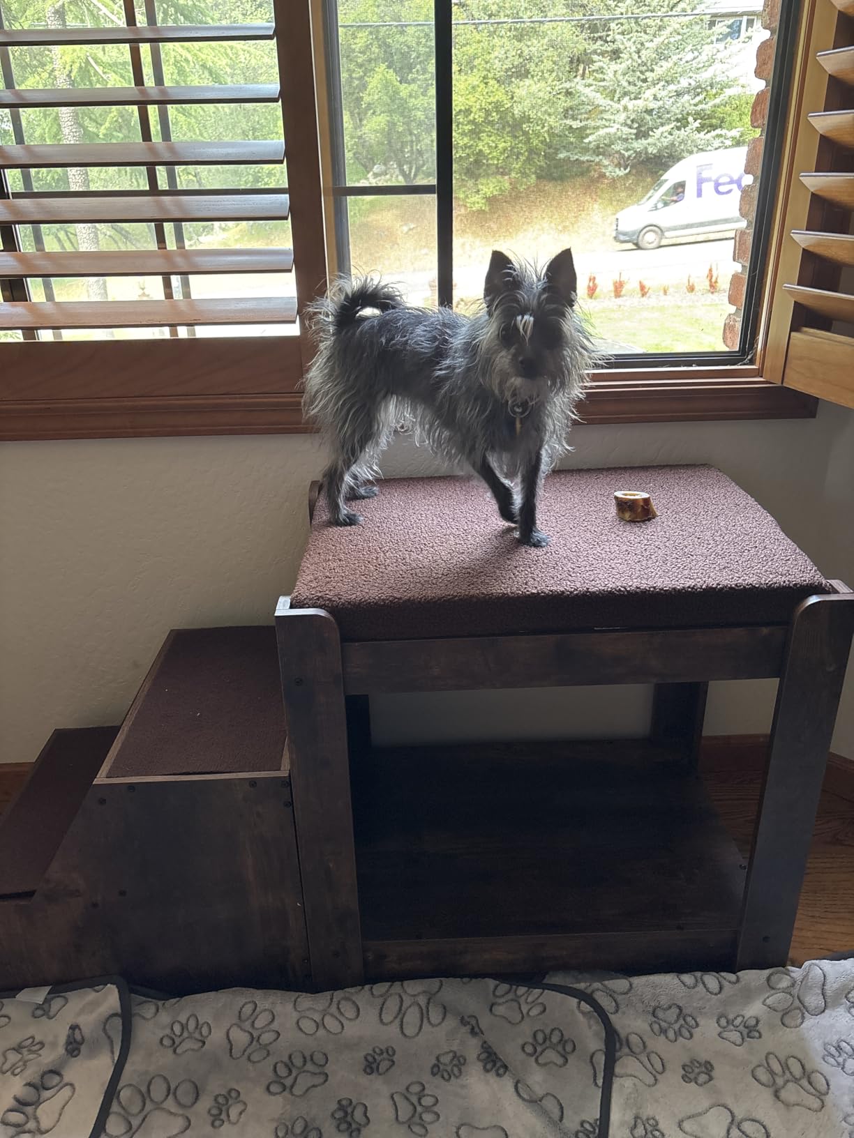 Dog Window Perch with Stairs, Large Dog Window Seat for Home with Non-Slip Removable Soft Pads, Indoor Dog Perch to Look Out Window, Pet Window Perch for Dogs with Steps, Rustic Brown customer photo 2