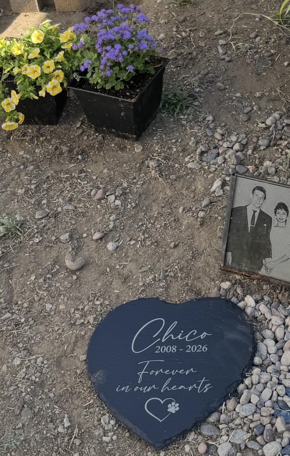 Personalized Pet Memorial Stone for Dogs and Cats | Custom Laser-Etched Weatherproof Garden Grave Marker | Natural Stone Bereavement Headstone Sympathy Gift | 4, 6, 10, or 12 Inch Heart or Circle Shape customer photo 1