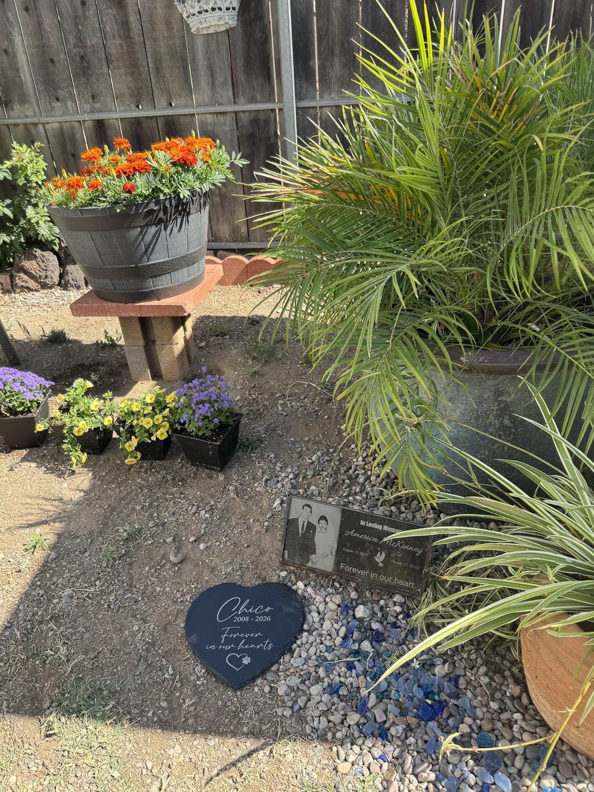 Personalized Pet Memorial Stone for Dogs and Cats | Custom Laser-Etched Weatherproof Garden Grave Marker | Natural Stone Bereavement Headstone Sympathy Gift | 4, 6, 10, or 12 Inch Heart or Circle Shape customer photo 2