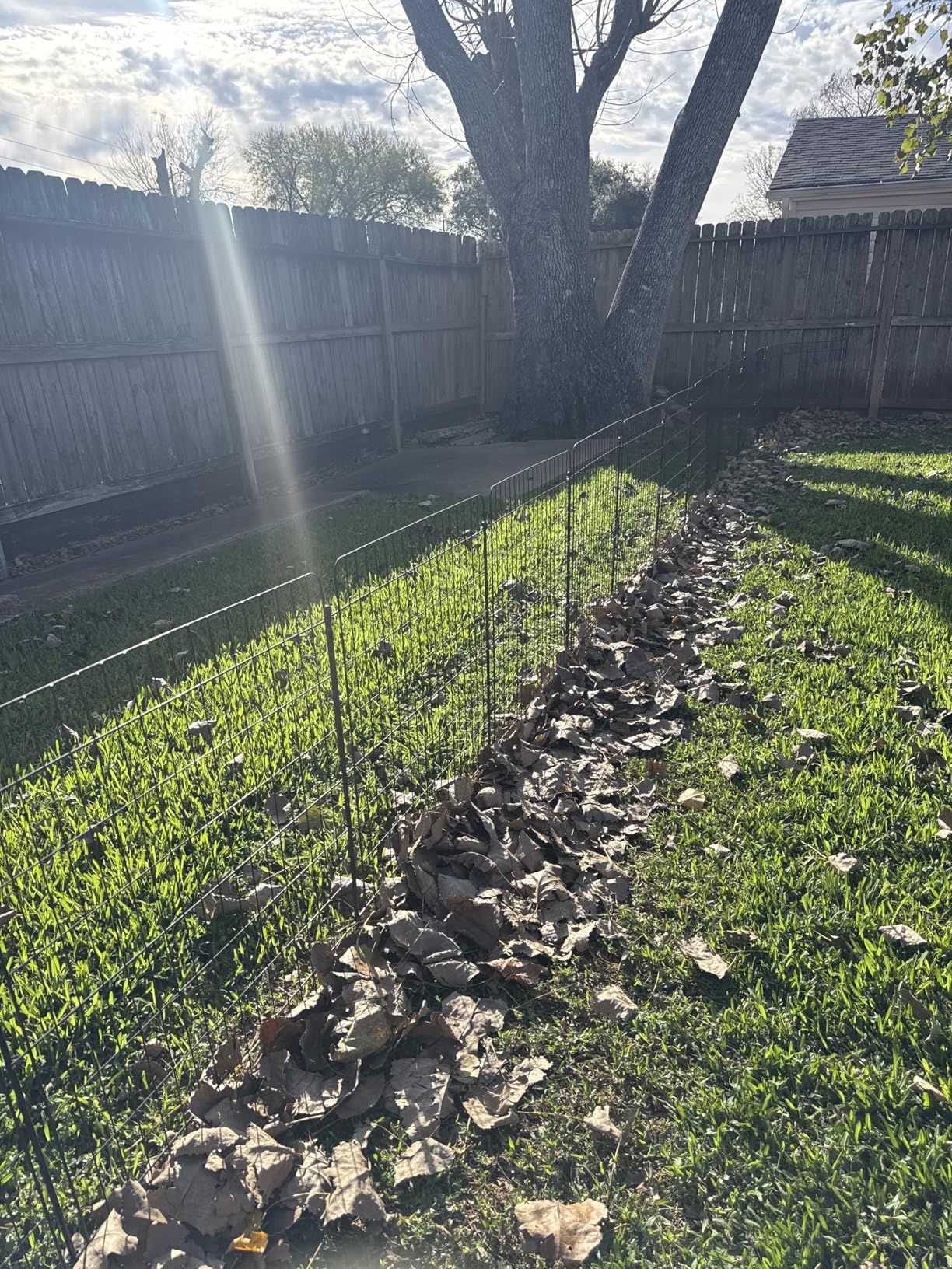15 Panels No Dig Fence with Gate, 32 in(H) X 36 ft(L) Garden Decorative Fence Animal Barrier for Dogs, Rustproof Metal Garden Edging Border for Outdoor, Yard, Patio, Black customer photo 2