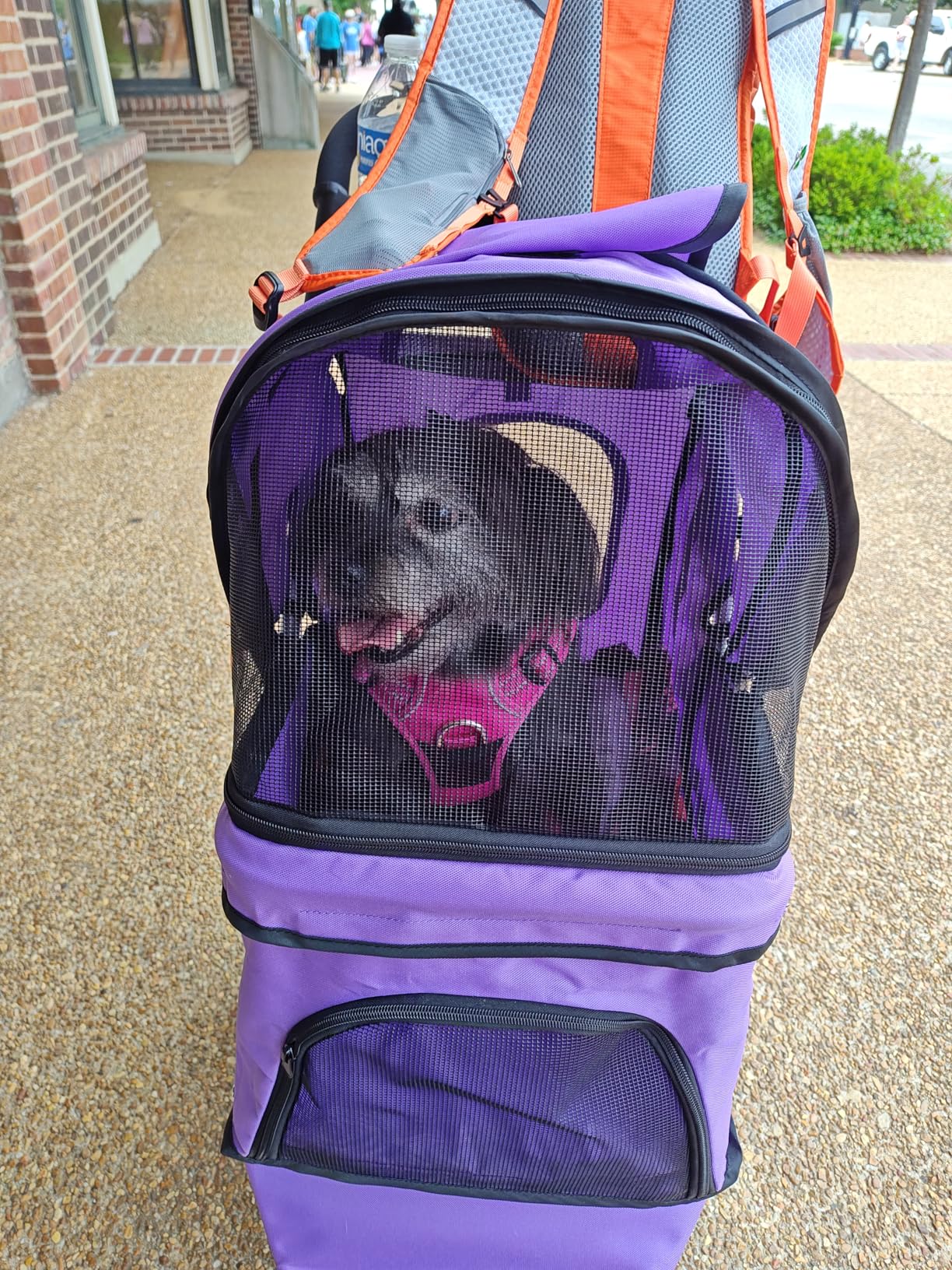 MoNiBloom Pet Stroller for Small/Medium Dogs and Cats up to 33 lbs, Gray | Foldable Dog Stroller 3 Wheels Pet Strolling Cart w/ Storage Basket Cup Holder, Breathable and Visible Mesh for All-Season customer photo 1