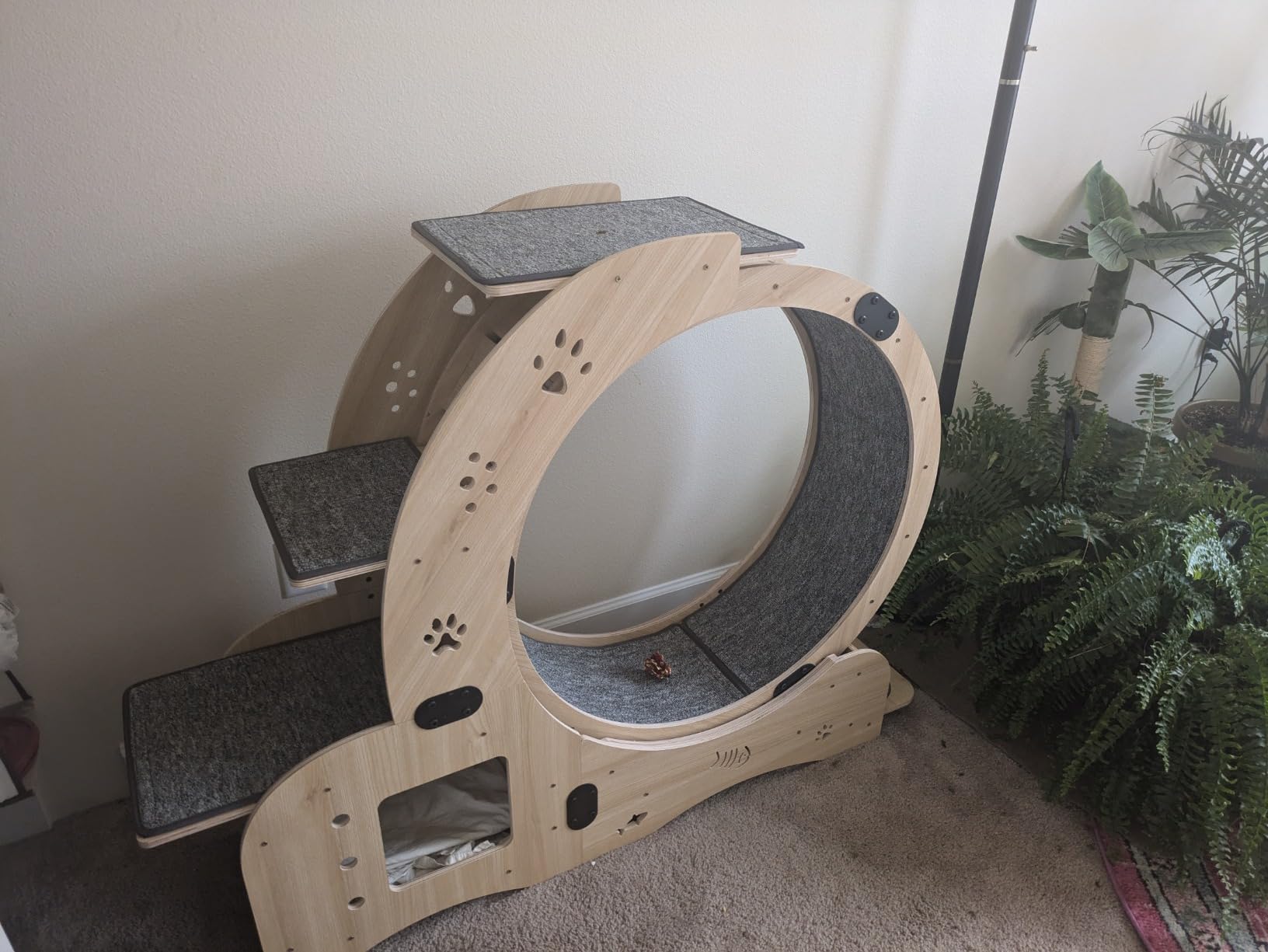 Cat Wheel 7-in-1 Upgraded Exercise Treadmill for Indoor Cats, Cat Treadmill with Silent Running Wheel, Cat Tunnel customer photo 1