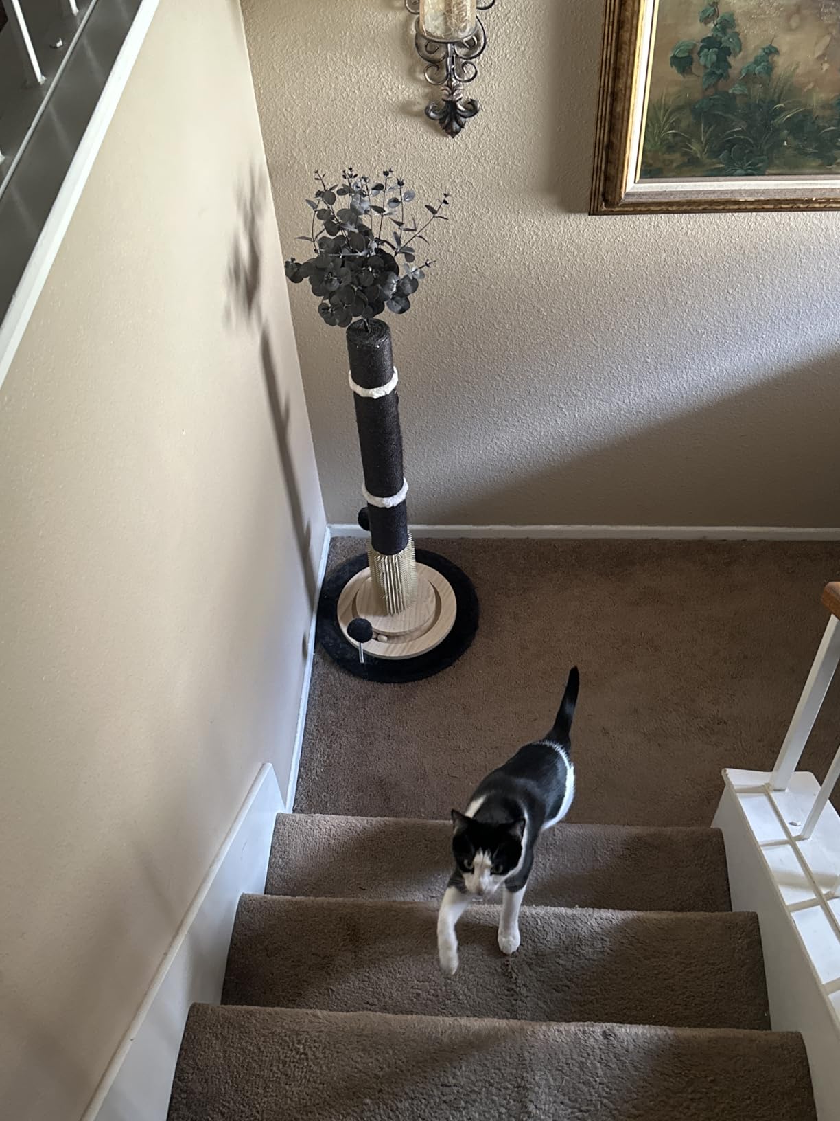 45'' Tall Cat Scratching Post, Heavy Duty for Indoor Large Cats with 3.5Inch Diameter Natural Sisal Rope Post customer photo 2