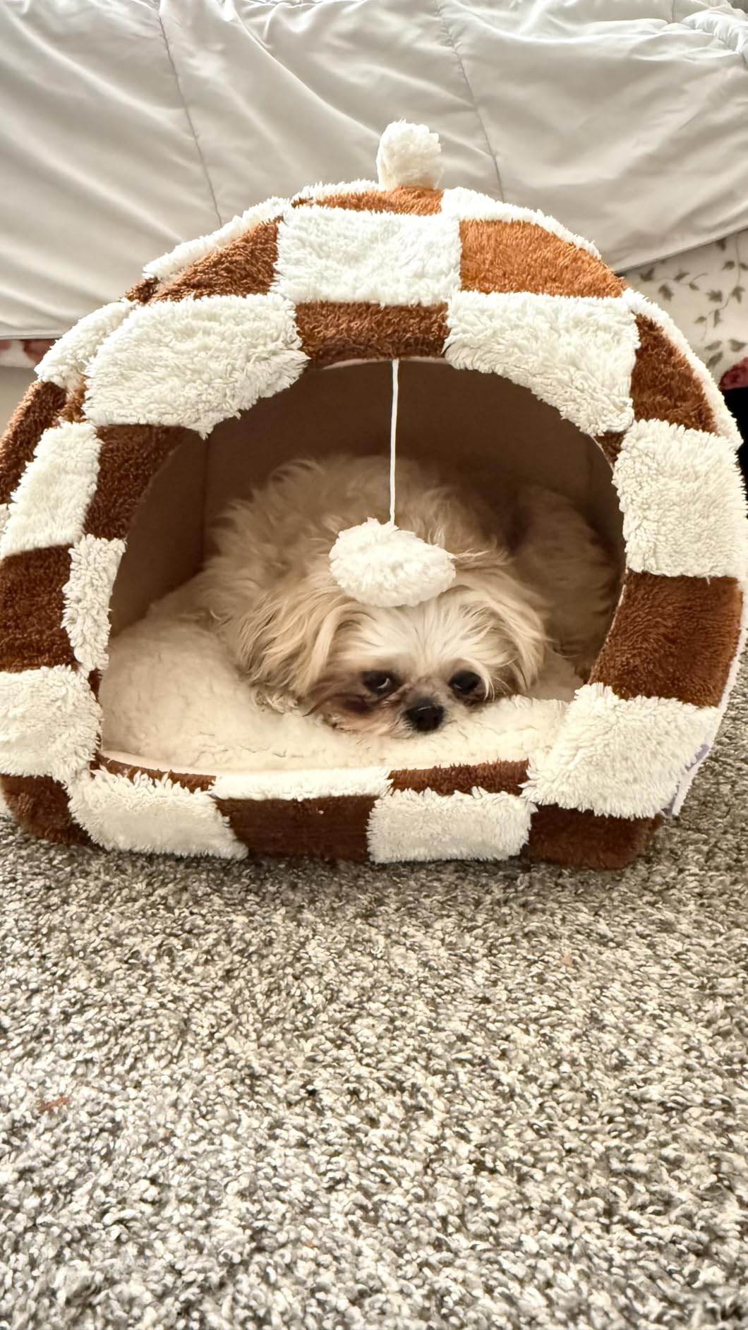 Lesure Cute Cat Beds for Indoor Cats - 2 in 1 Cat Cave Bed for Kittens and Small Pets with Removable Washable Cushioned Pillow, Cozy Kitten Tent with Non-Slip Bottom, Green, 16 inches customer photo 2