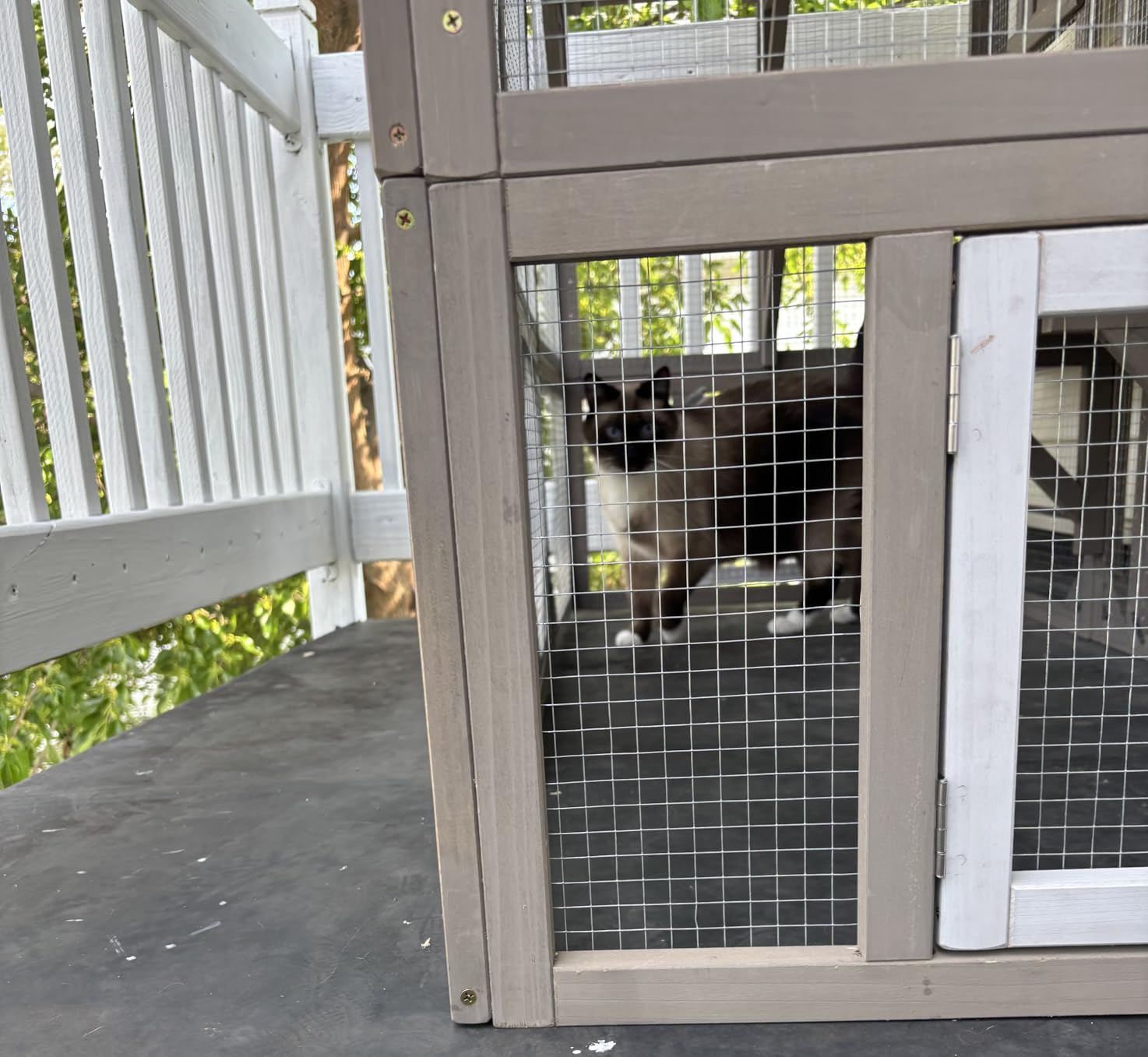 Ketive Catio Outdoor Cat Enclosure Large Window Cat House Walk in Kitty Cage with Multi-Level Platforms, Waterproof Roof for Mulitiple Cats (59