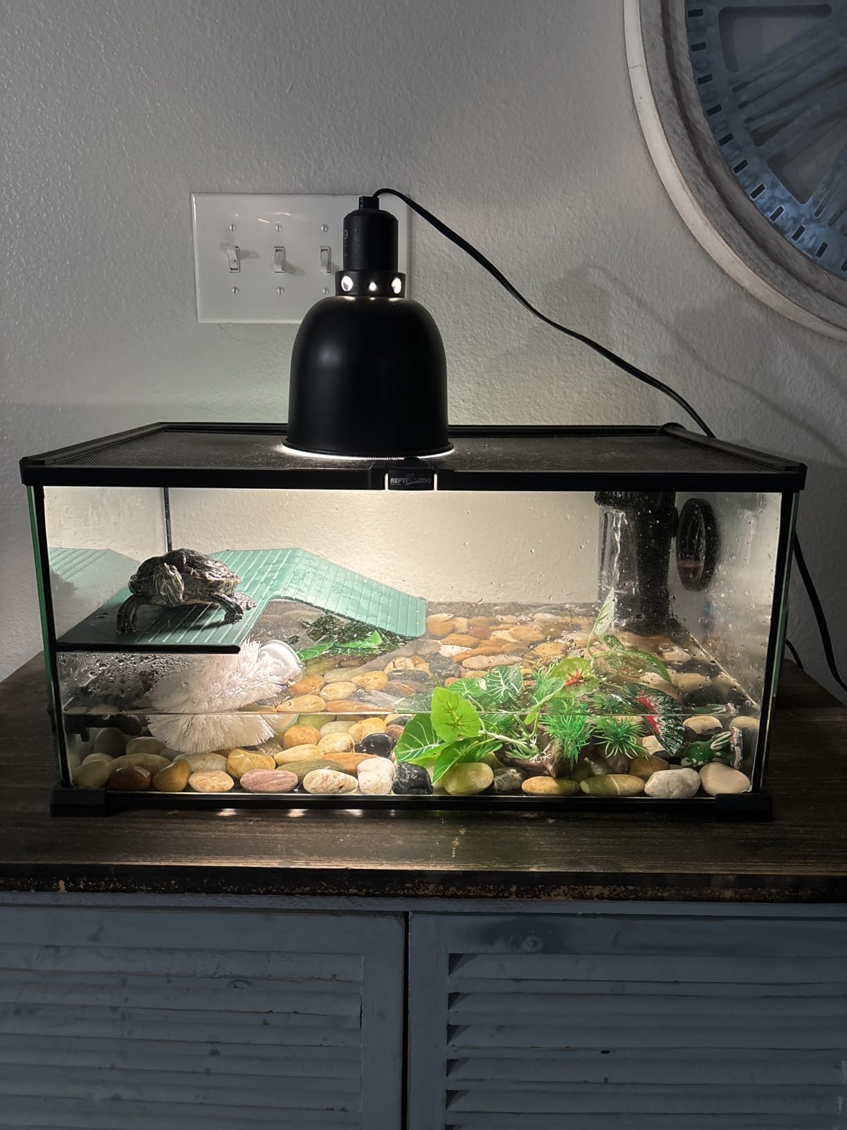 REPTIZOO Glass Turtle Tank Kit, 10 Gallon Turtle Tank Starter Kit with Drainage System, Basking Platform and Quiet Aquarium Corner Internal Filter, 20