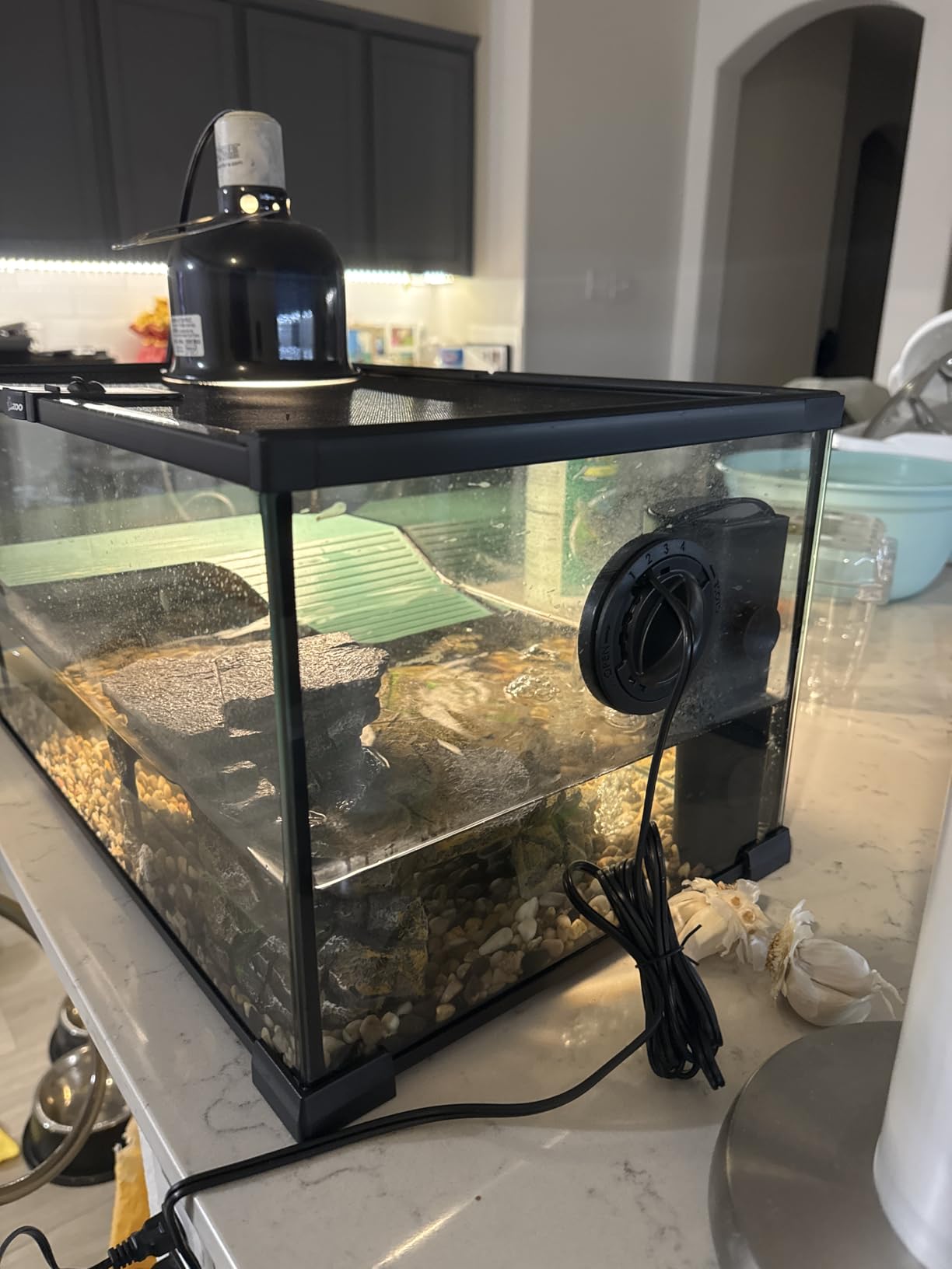 REPTIZOO Glass Turtle Tank Kit, 10 Gallon Turtle Tank Starter Kit with Drainage System, Basking Platform and Quiet Aquarium Corner Internal Filter, 20