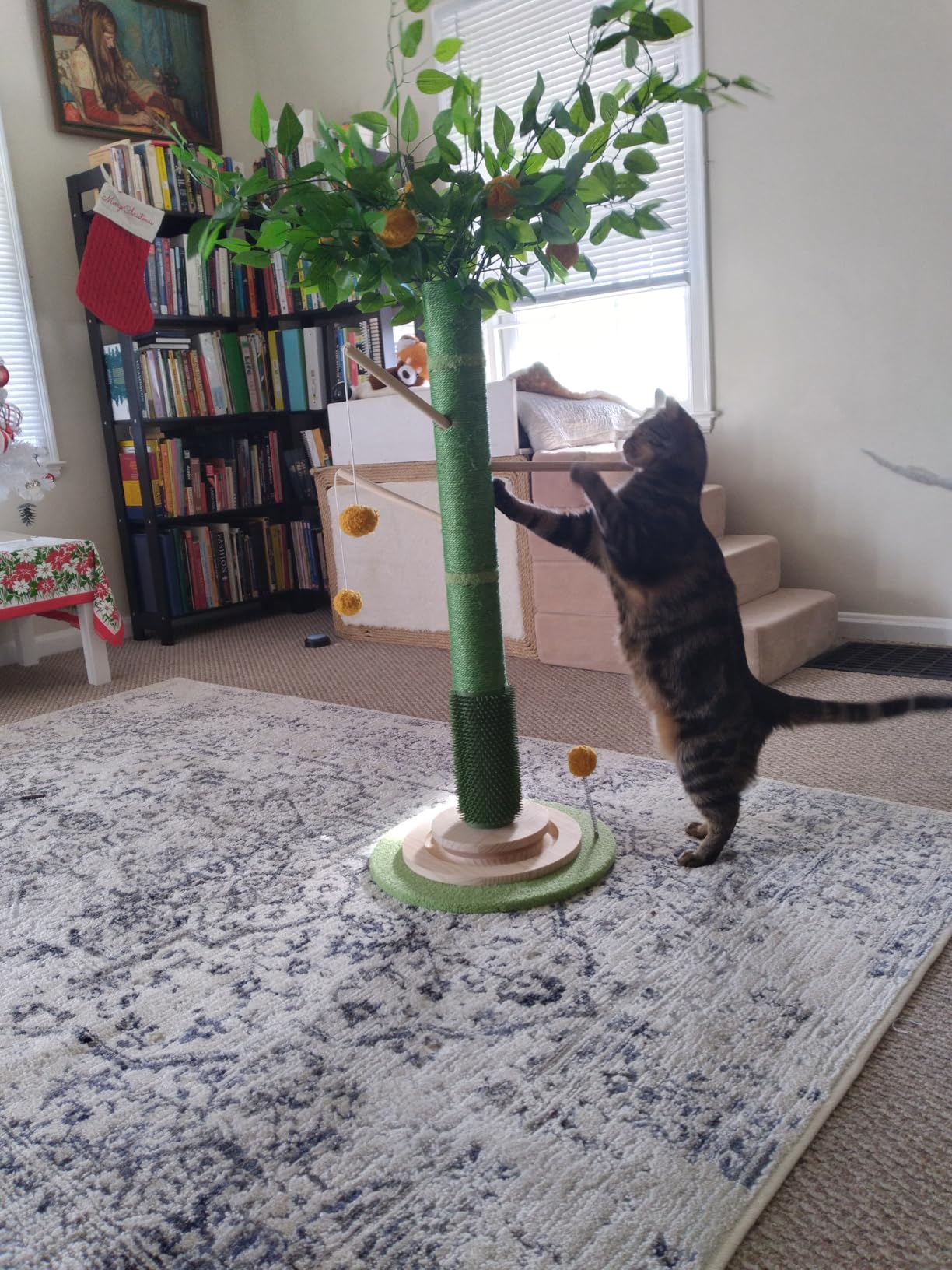 Cat Scratching Post, 45 Inch Tall Cat Scratcher Tree for Indoor Cats Adults with Natural Sisal Rope, Large Scratching Posts with Rubber Brush, 3-Layer Solid Wood Base and Balls Track Toy customer photo 2