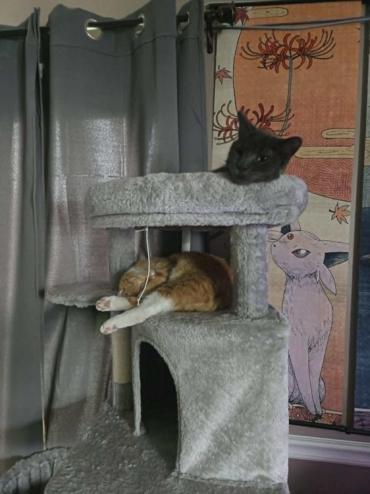Globlazer Corner Cat Tree, 51in Curved Series Modern Cat Tower with Hammock, 7 Sisal Scratching Posts customer photo 1