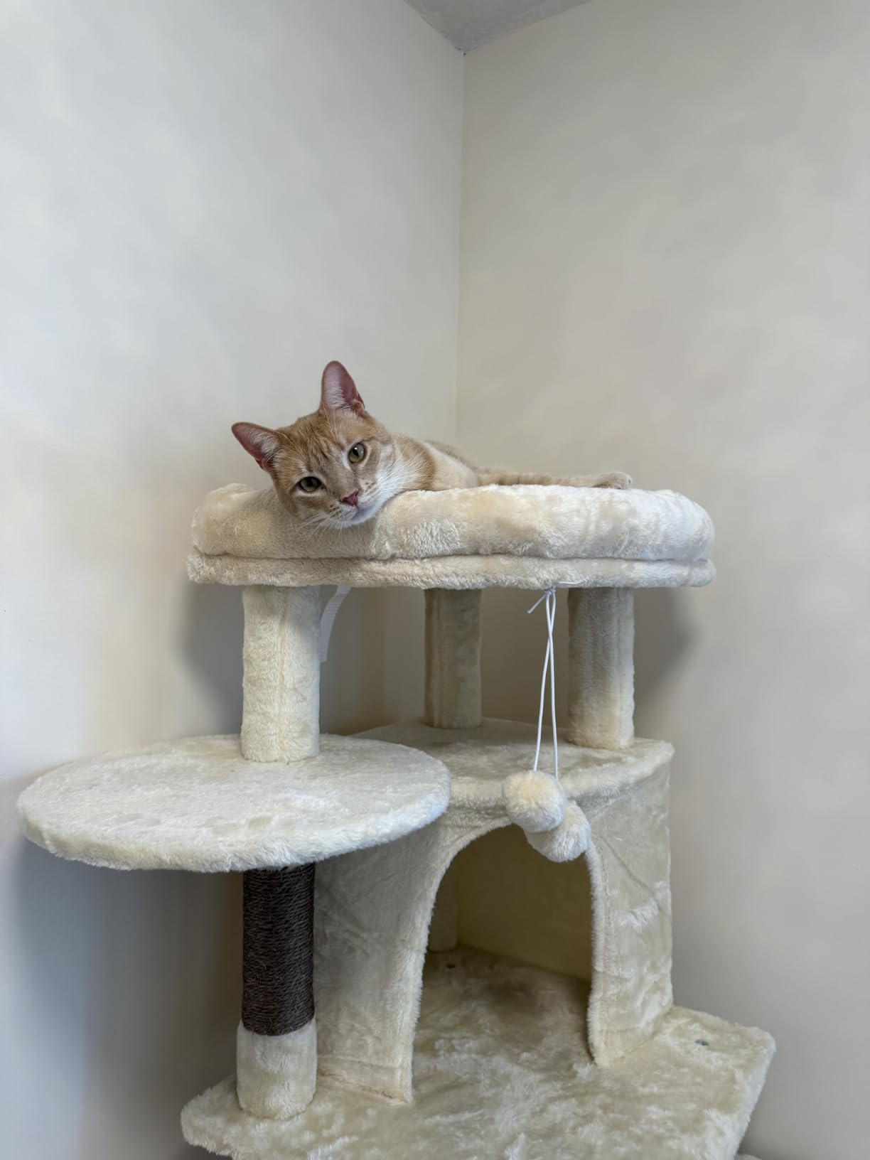 Globlazer Corner Cat Tree, 51in Curved Series Modern Cat Tower with Hammock, 7 Sisal Scratching Posts customer photo 2