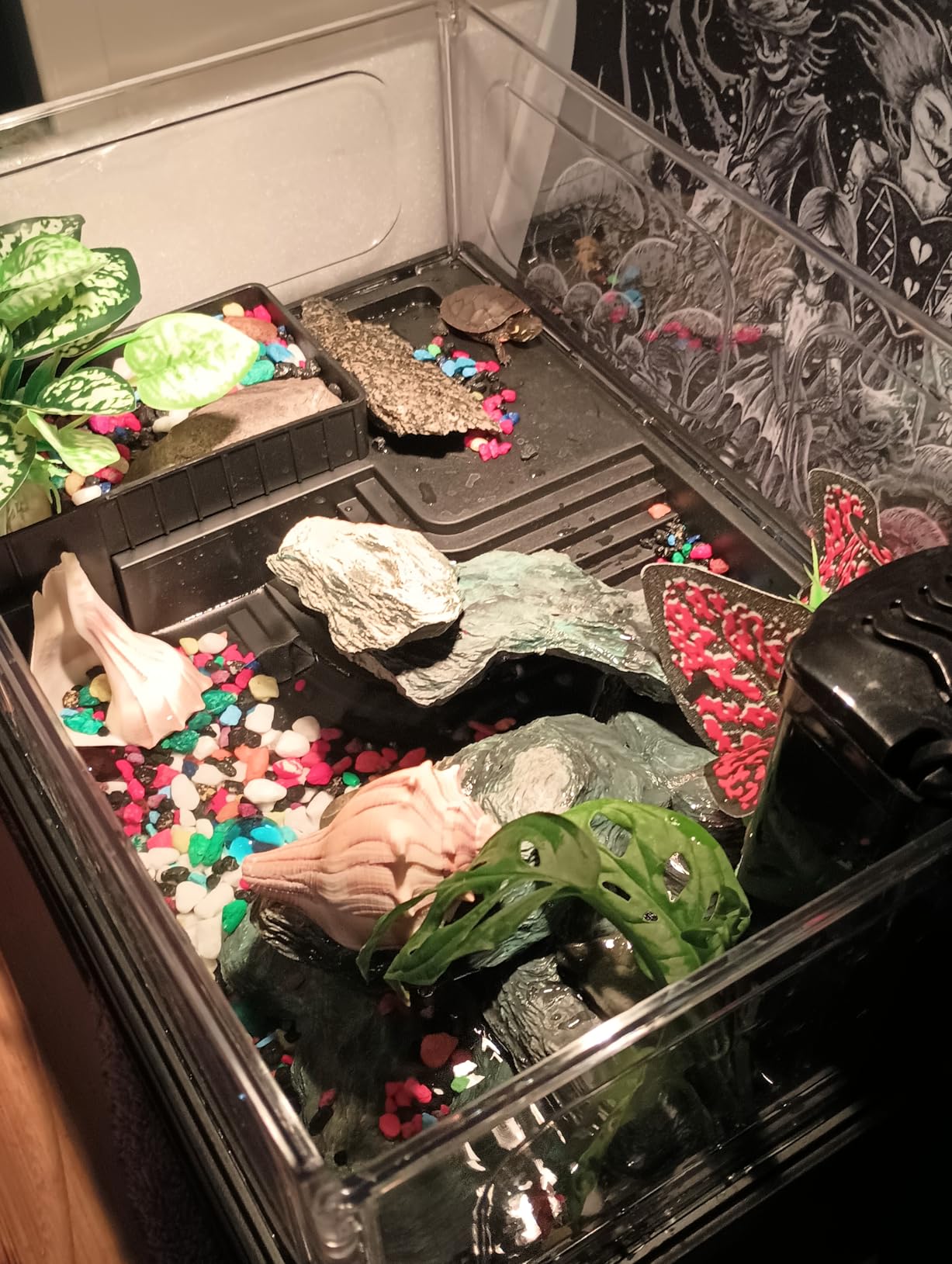 GOZILLA Small Turtle Tank Kit (Tank+Lamp+Filter), Acrylic Turtle Starter Kit with Adjustable Lamp, Reptile Habitat and Terrarium with Multi-Functional Areas for Small Reptiles (Black Kit) customer photo 2
