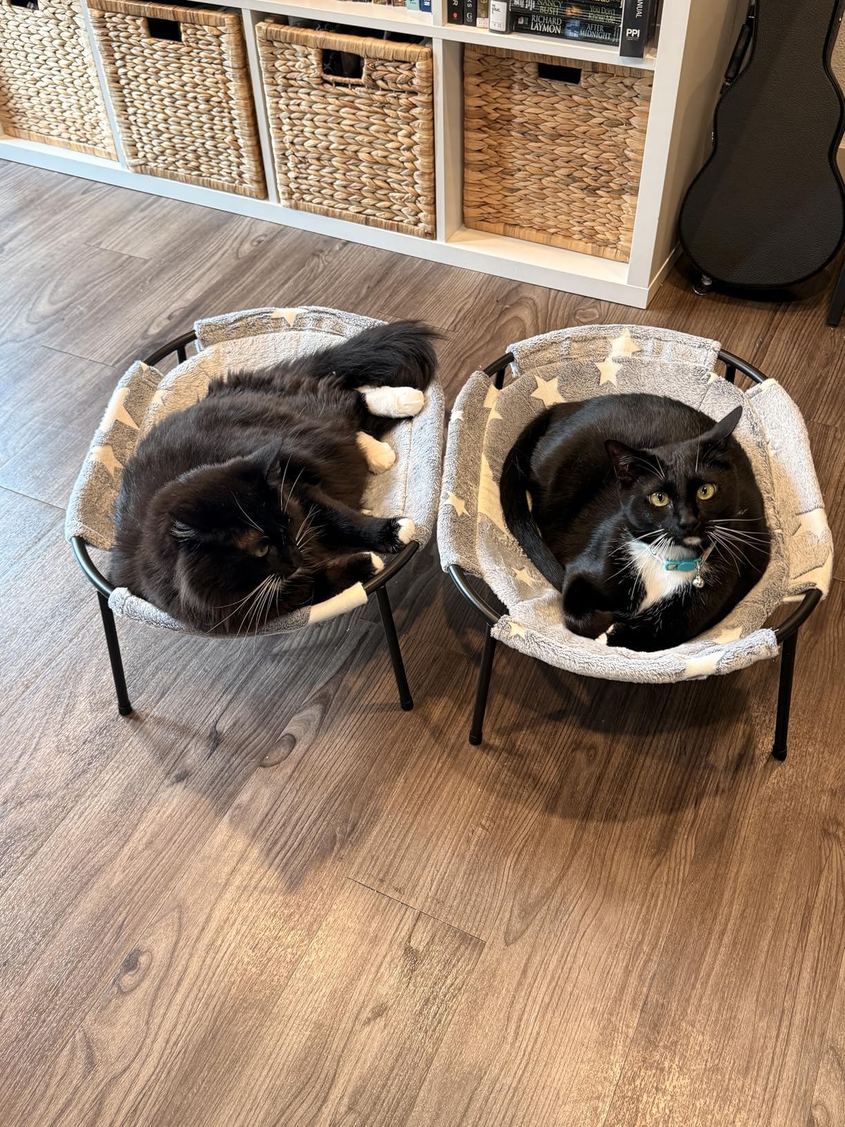 Elevated Cat Bed, Glow-in-The-Dark Fabric Cat Hammock Bed for Large Indoor Cats, Machine Washable & Breathable Cover, Tool Free Easy Assembly, up to 66Lbs (Gray, L) customer photo 1