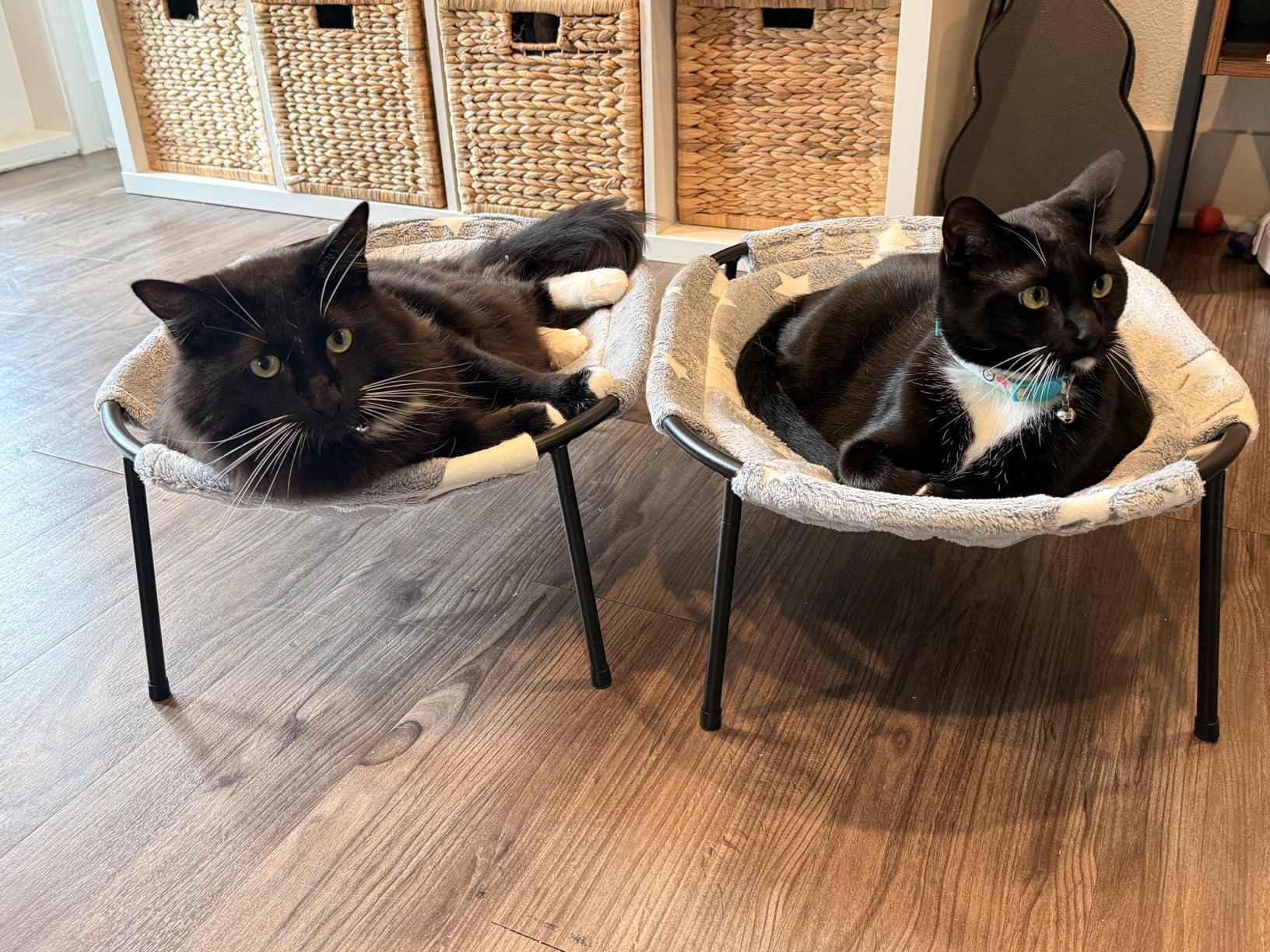 Elevated Cat Bed, Glow-in-The-Dark Fabric Cat Hammock Bed for Large Indoor Cats, Machine Washable & Breathable Cover, Tool Free Easy Assembly, up to 66Lbs (Gray, L) customer photo 2