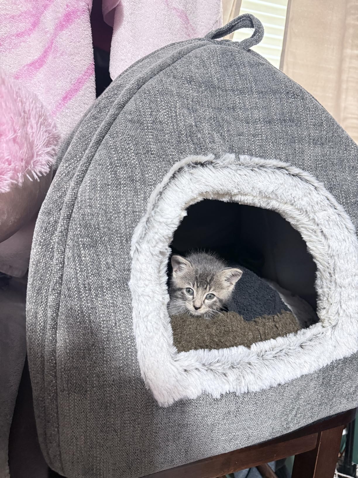 Cat Bed Cave - Cat Beds for Indoor Cats, Kittens and Small Pets, Soft and Warm Cats House Tent Bed, Foldable and Washable with Removable Cushioned and Anti Slip Bottom, Grey 15 inches customer photo 1