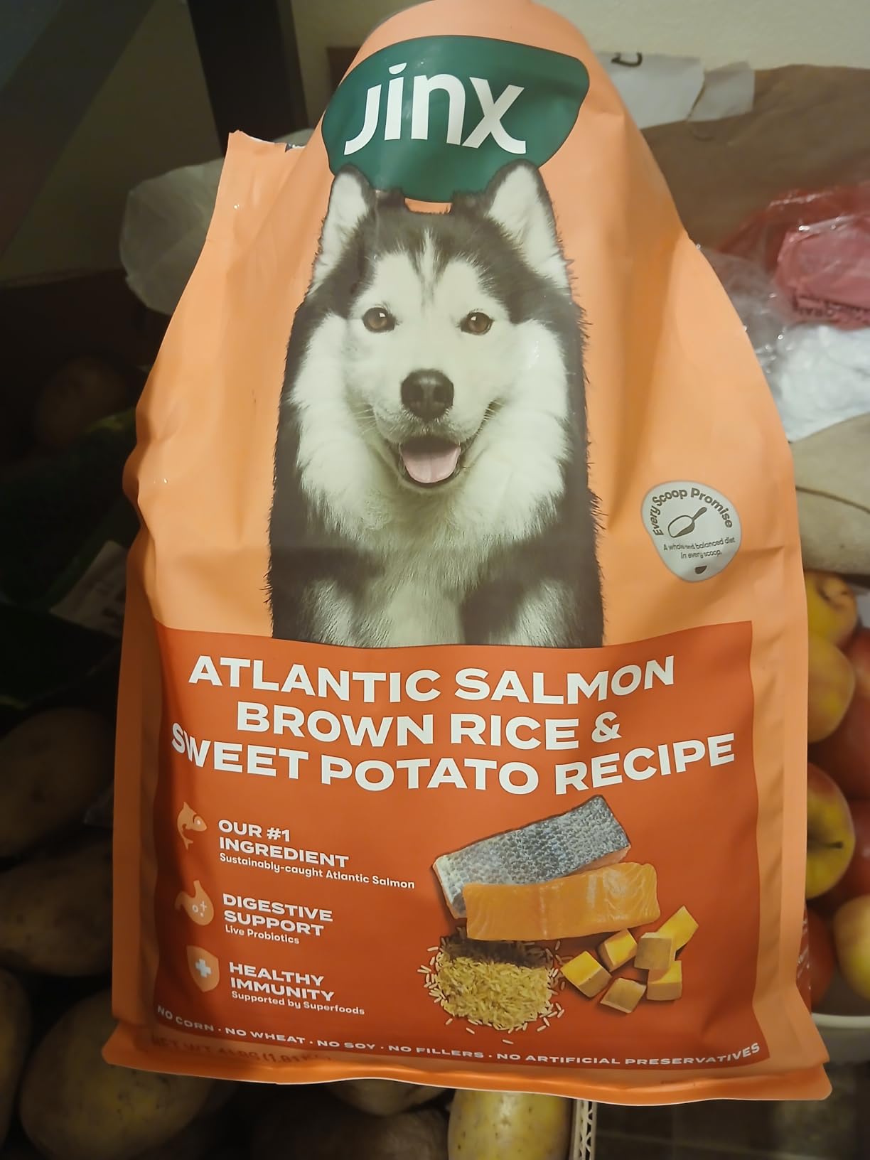 Jinx Premium Dry Dog Food, for All Lifestages - Real Beef, Brown Rice & Sweet Potato Kibble with Superfoods for Immune Support & Probiotics for Digestive Support - No Fillers - 4lb customer photo 2