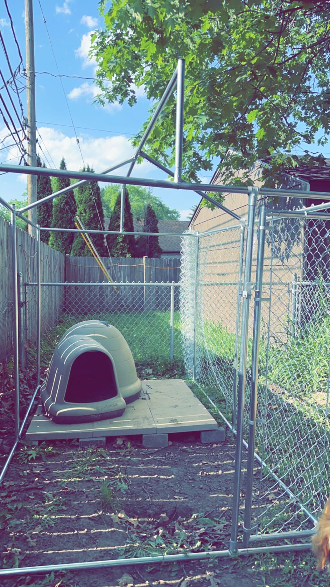 10 x 10 x 6 ft Outside Dog Kennel Outdoor Large with Roof, Enclosure with Roof, Outdoor Heavy Duty Dog Run Pens House Pet Playpen with Galvanized Chain Link customer photo 1