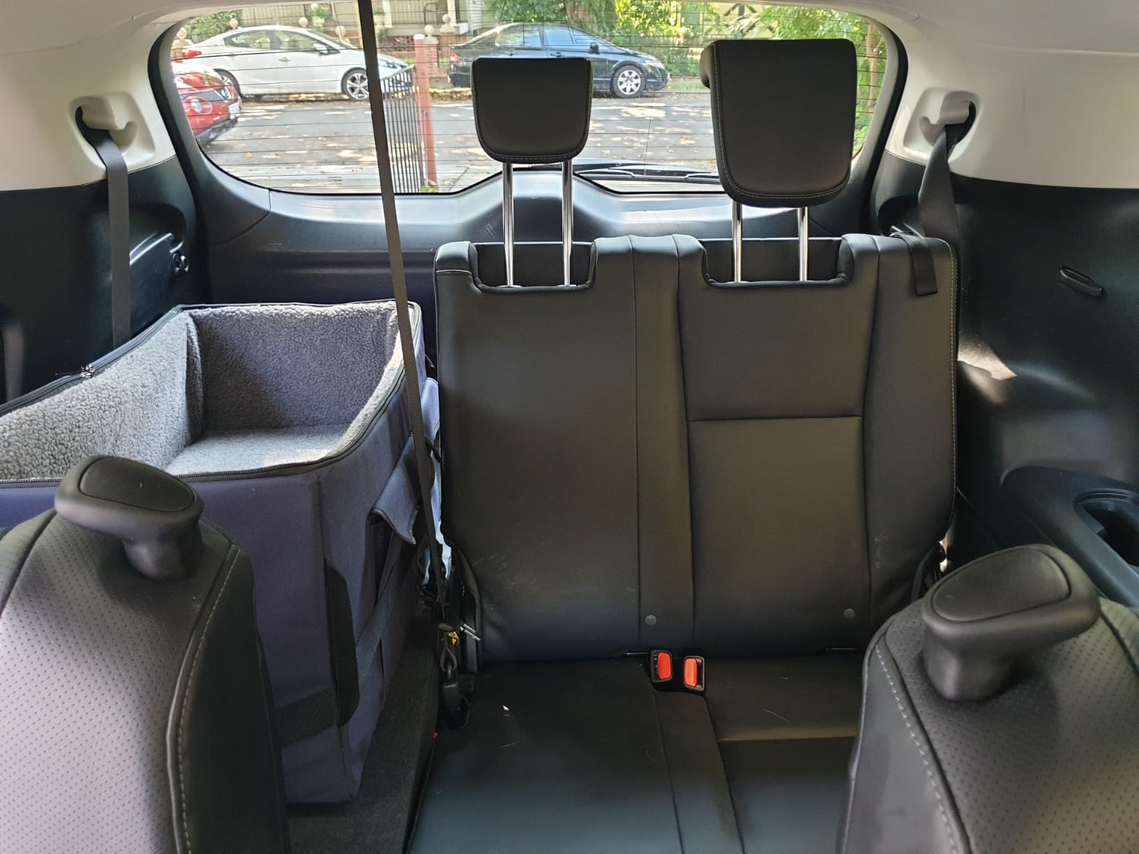 A 4 Pet Dog Car Seats for Small Dogs Under 25lbs - Safety Travel Booster Seat with Patent Buckles, Adjustable Leash - Reduces Anxiety & Road Trips - Frame Support for Cars, SUV, Pickup customer photo 2