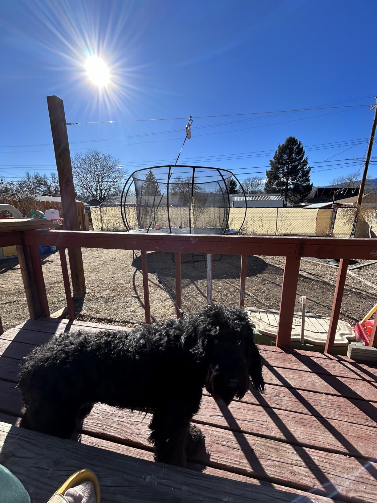 Snagle Paw Heavy Duty Dog Runner for Yard,75ft Dog Run Cable with 10ft & 10ft Pulley for Large Dogs Up to 250lbs, Aerial Zip Line for Backyard, Trolley System for Camping, Park, Outside customer photo 1