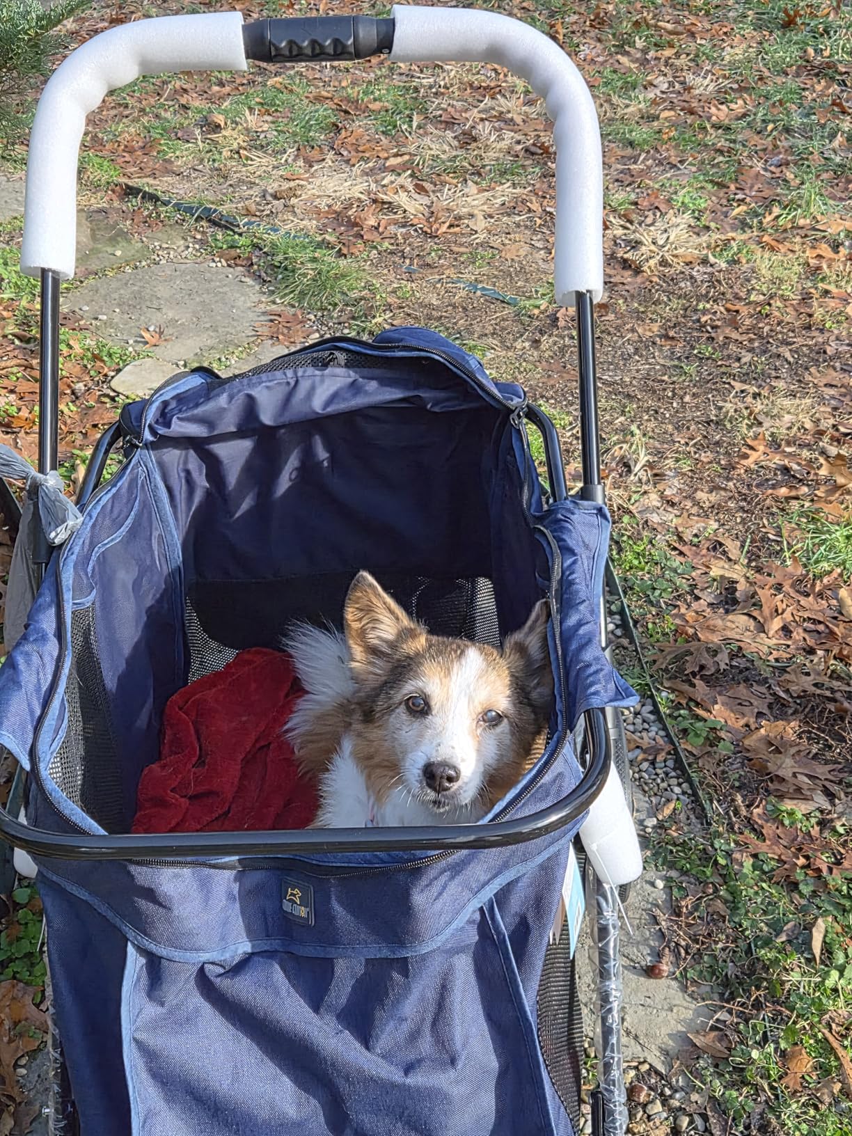 CANINE CANYON Scout Pet Stroller, Heavy Duty Dog Stroller for Large & Medium Dogs, Foldable Pet Stroller for 2 Dogs with All-Terrain Wheels, Storage Pocket & Cup Holder, 55 lbs Capacity, Grey customer photo 1