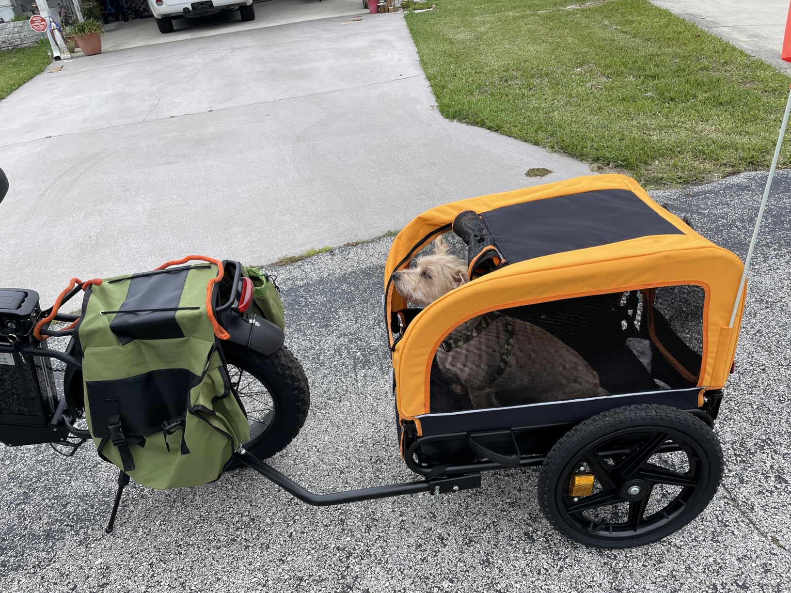 Sepnine Dog Bike Trailer, Dog Cart for Bicycle, Suitable for Small and Medium Pets, Easy Folding Cart Frame, Quick Release Wheel, Non-Slip Floor, Internal Leash, 66LBS Orange customer photo 1
