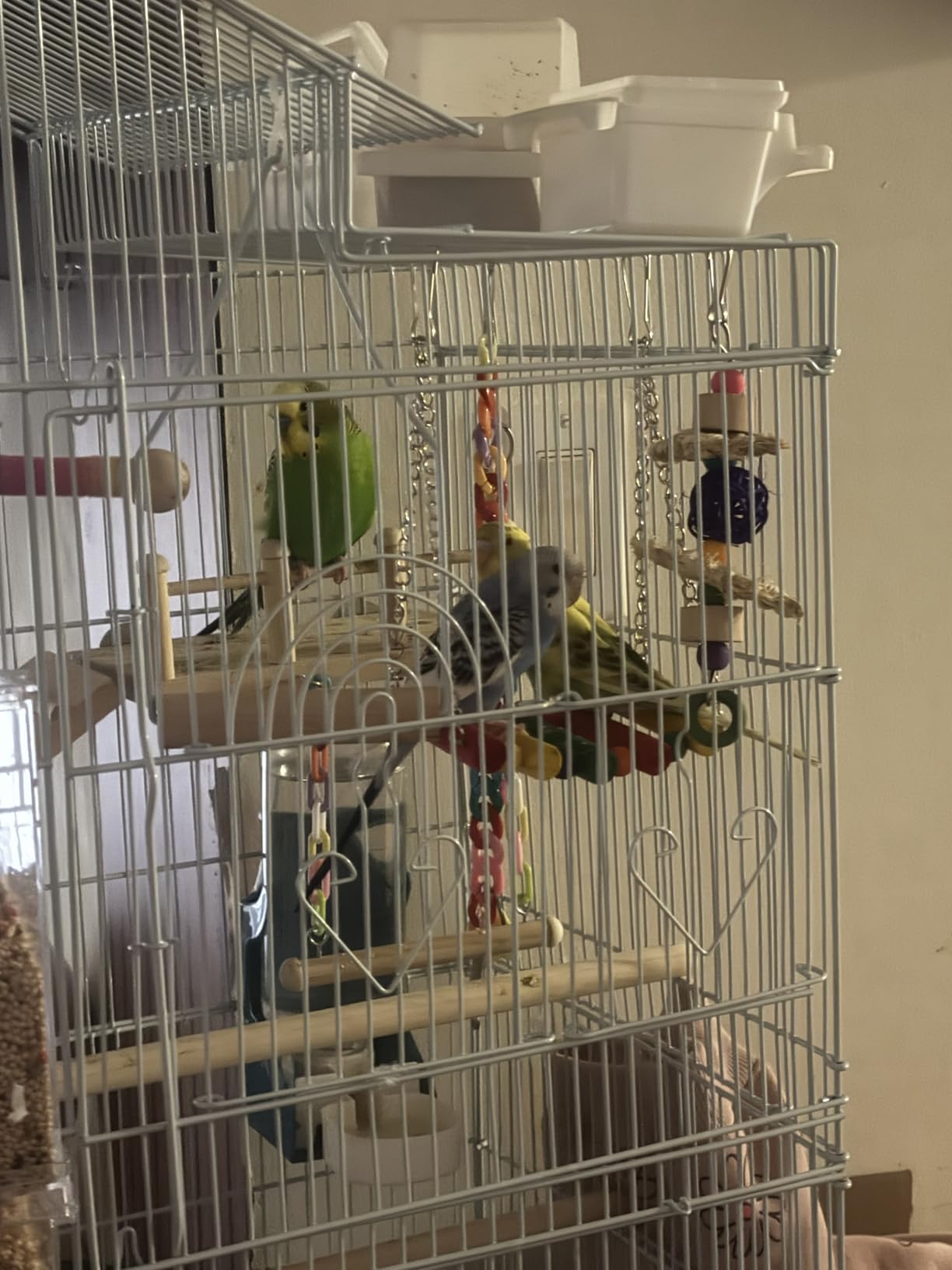 DWVO 62-inch Metal Bird Cage: Bird Cage Spacious for Cockatiels, Parrots, Pigeons, Lovebirds, Features Roof Access and Rolling Stand Black customer photo 1