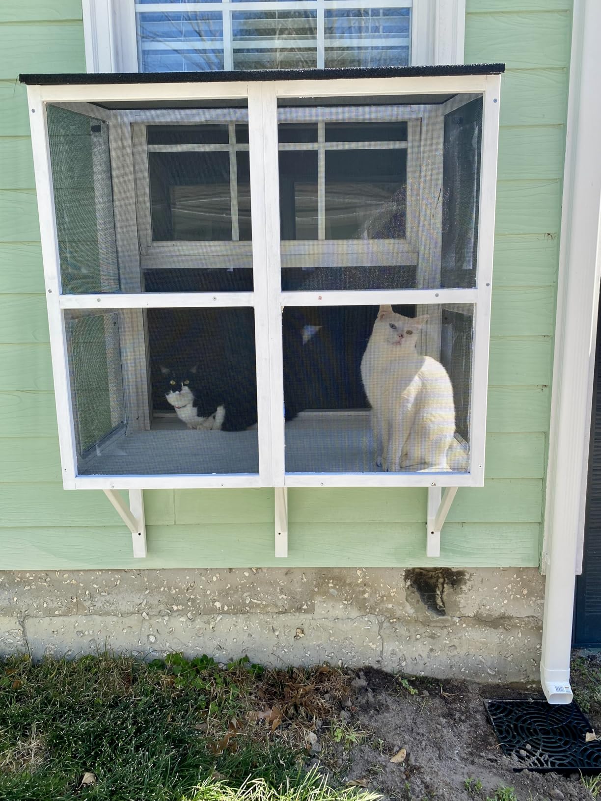 beeNbkks 2 Tiers Bug Proof Cat Catio, Window Cat House with Metal Mesh, Outdoor Enclosure for Indoor Pets, Expandable Wooden Perch, Safe Comfortable Haven for Pets, Keep Bugs Insects Out customer photo 1