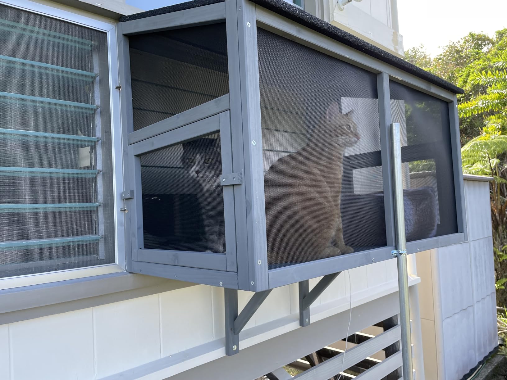 beeNbkks Bug Proof Cat Catio, Window Cat House with Metal Mesh, Outdoor Enclosure for Indoor Pets, Expandable Wooden Perch, Safe Comfortable Haven for Pets, Keep Bugs Insects Out customer photo 1