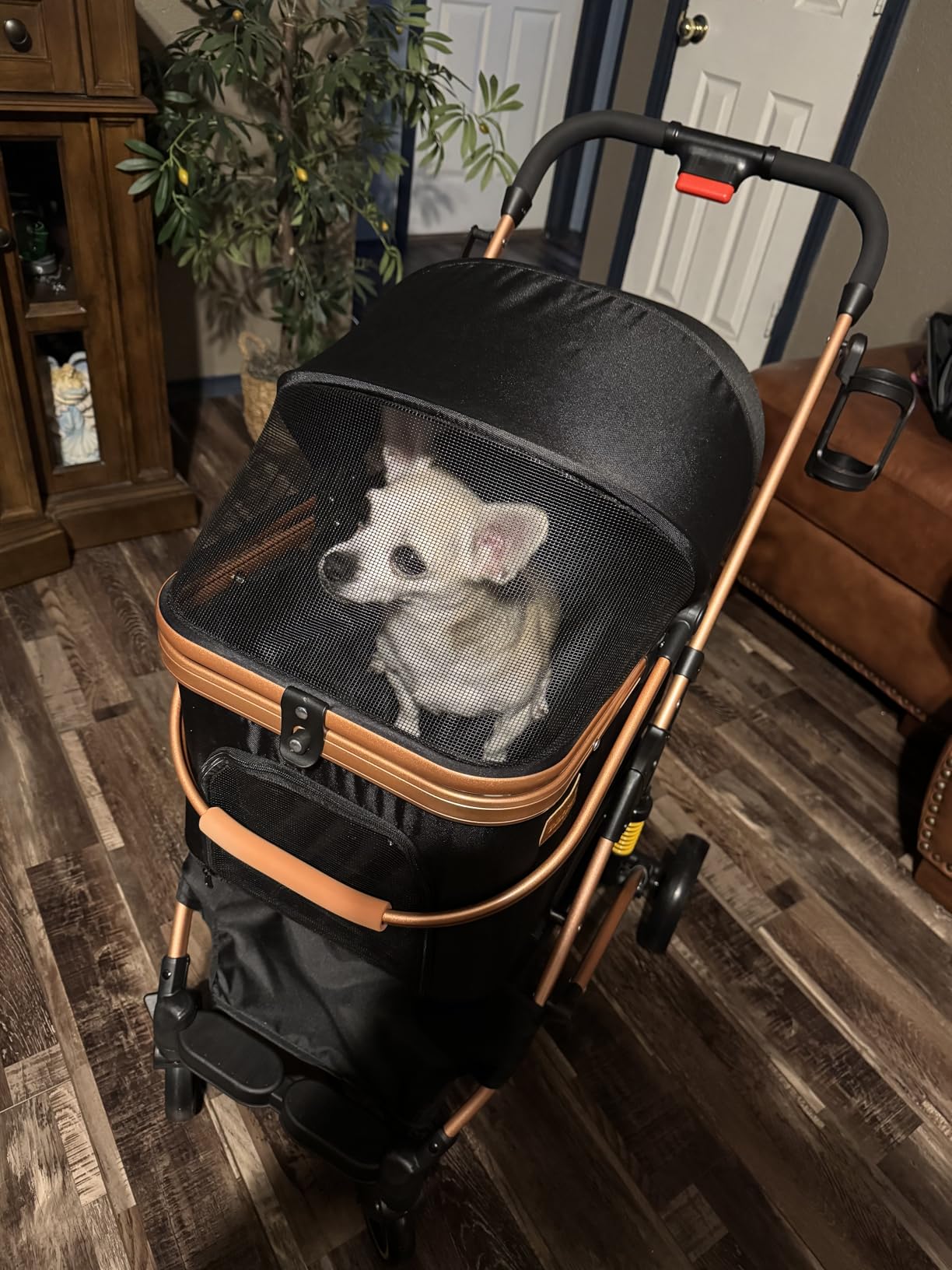 Pet Stroller for Small Dogs, Lightweight Small Dog Stroller for Dogs Cats with 6 Shock Absorption System, Detachable Carrier Suitable for Car Seat & Hand Carry, Safe Outings, Black customer photo 2