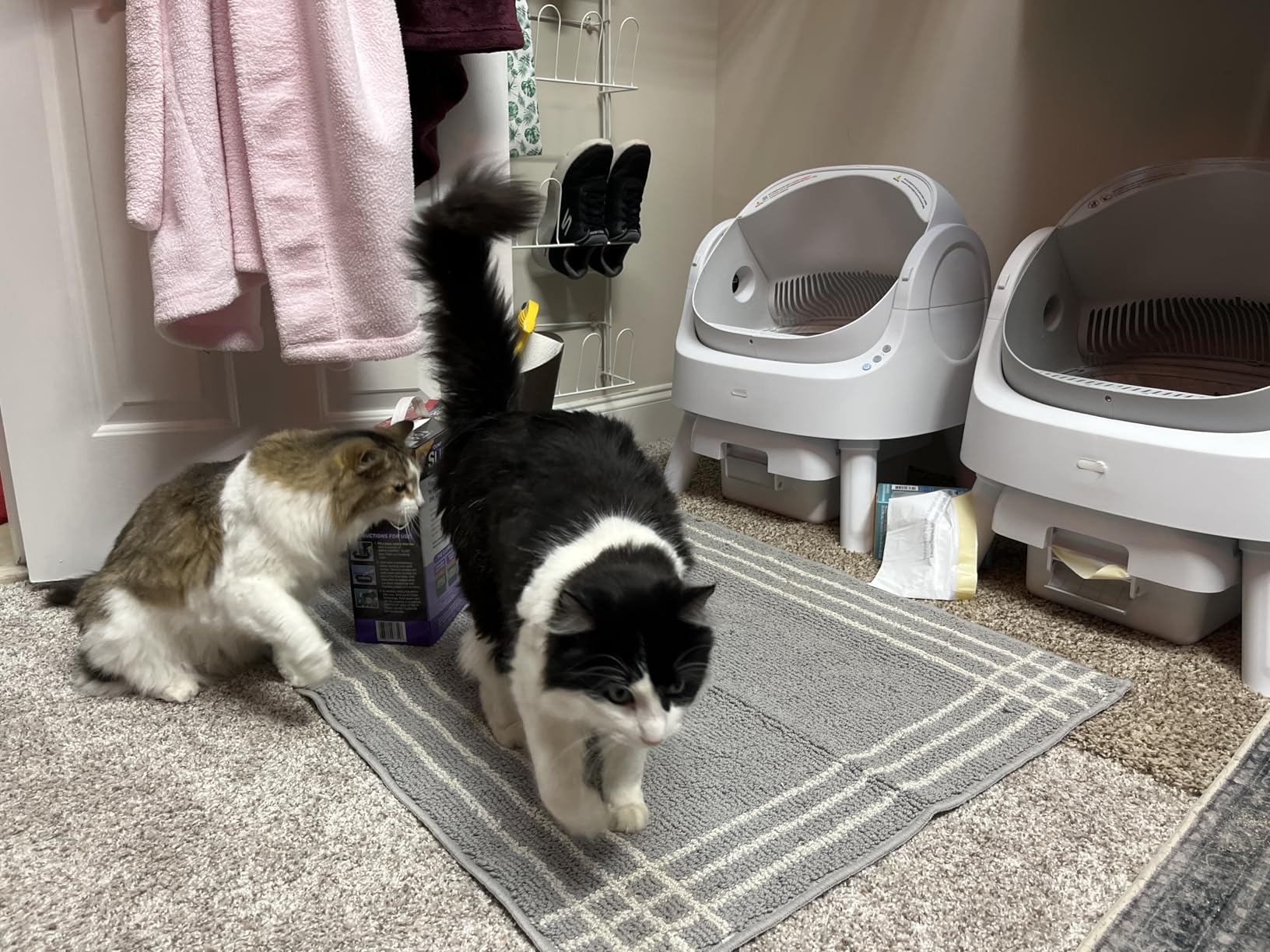 Self Cleaning Cat Litter Box, Automatic Litter Box for Multiple Cats, Integrated Safety Protection with Open-Top Design customer photo 1
