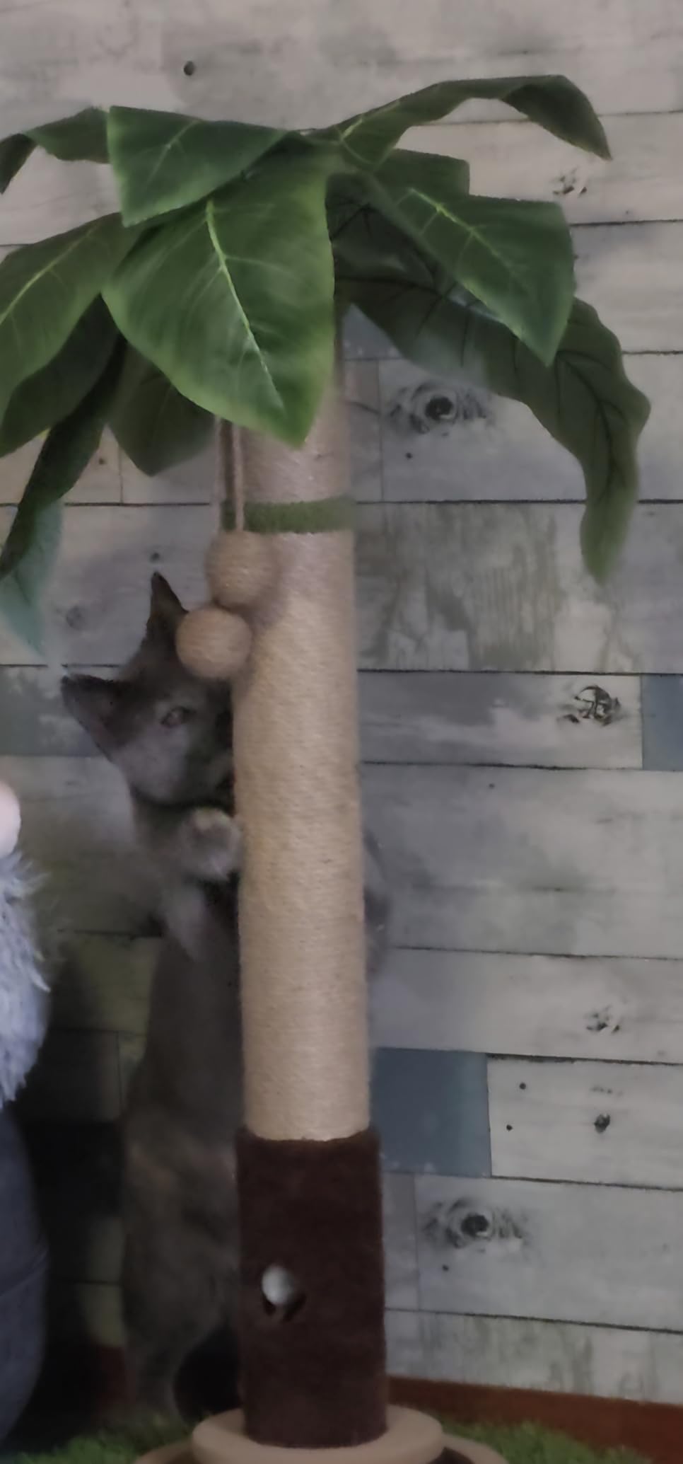 Woochpet Cat Scratching Post 35'' Tall Cat Scratcher Tree Tower Scratching Posts for Indoor Cats with Cat Toy Mouse Hole and Interactive Wooden Ball for Kittens Adults Cats customer photo 1