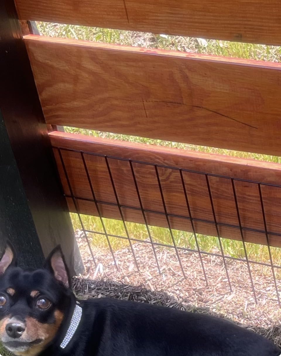 39.5ft(L) X 13in(H) Animal Barrier Fence, 28 Panels No Dig Fence for Dogs, 1.52IN Gap Anti Digging Dog Barrier, Rustproof Metal Garden Edging Border Defense for Outdoor, Yard, Lawn customer photo 1