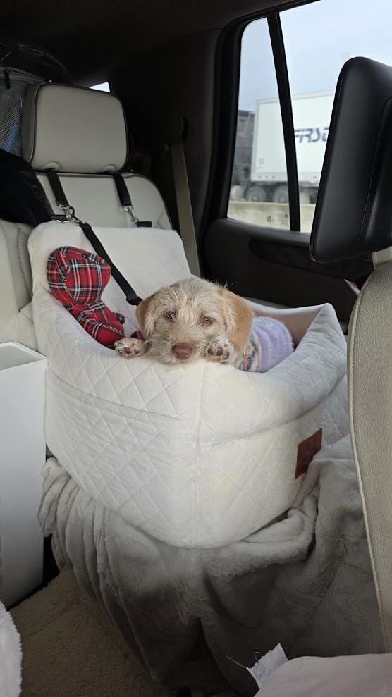 GL GLENSLAVE Dog Car Seat for Small/Medium Dogs, Dog Booster Car Seats with Thick Cushion for Dogs Under 35 lbs, Detachable Washable Pet Carseat with Storage Pockets, 2 Safety Belts (Black/Brown) customer photo 1