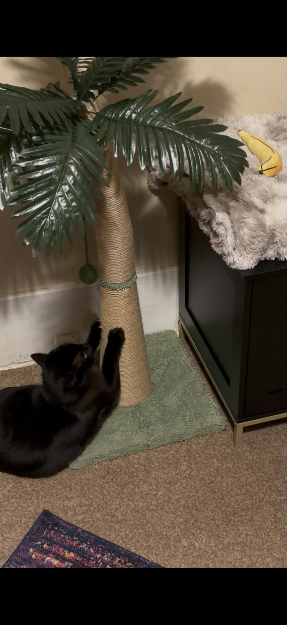 40'' Tall Cat Scratching Post Cat Tree, Curved Design Cat Scratcher Post with 3 Interactive Balls, Natural Sisal Rope Cat Scratching Posts for Indoor Cats Adults Kittens, Multi-Combinable (Style A) customer photo 1