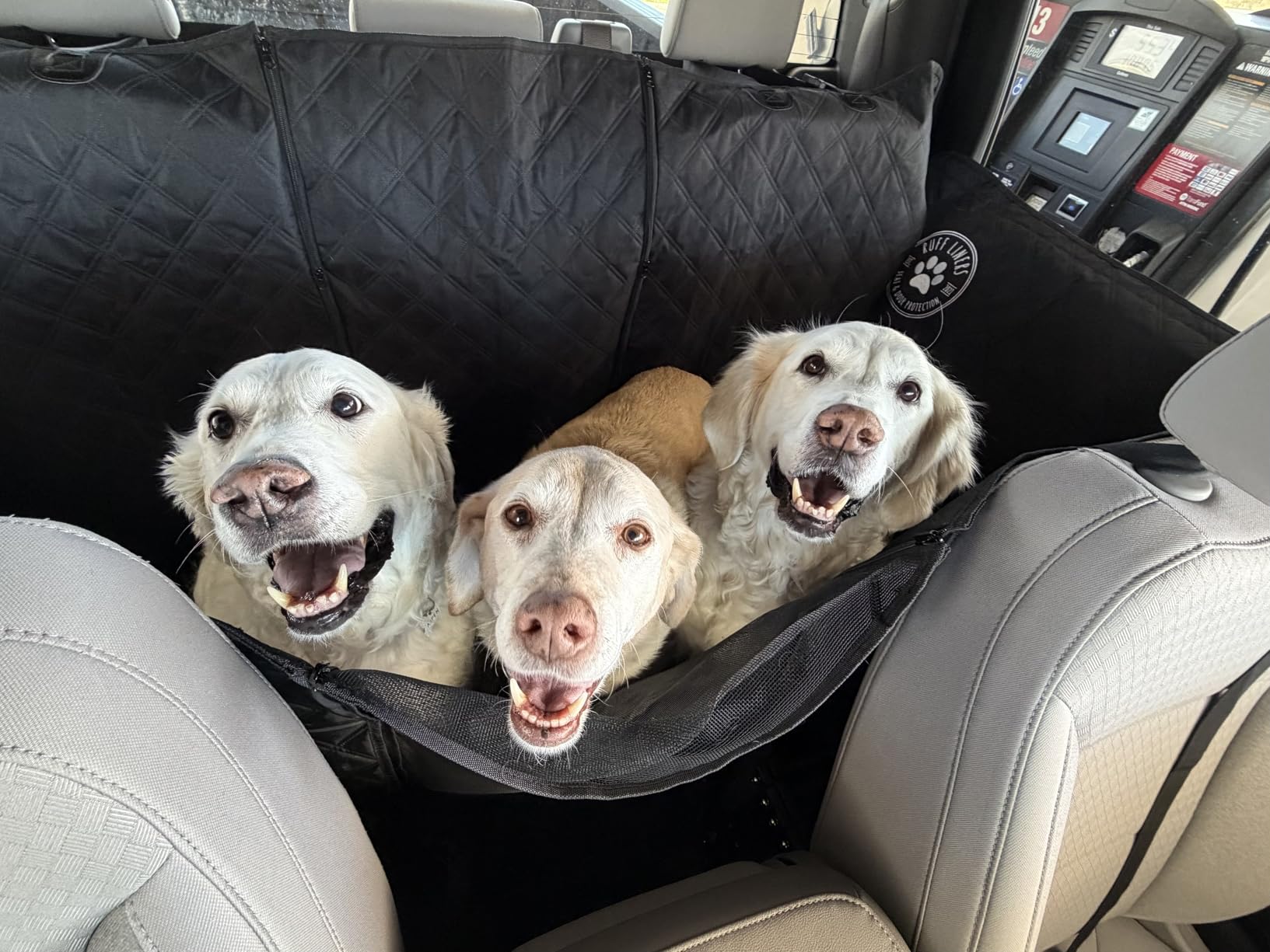 Ruff Liners Dog Hammock for Car, Black - As Seen on Shark Tank - Back Seat Protector for Cars, Mid-Size SUVs, & Mid-Size Trucks - Waterproof, Touch Fasteners, & Belt Slots - Heavy Duty Dog Seat Cover customer photo 1
