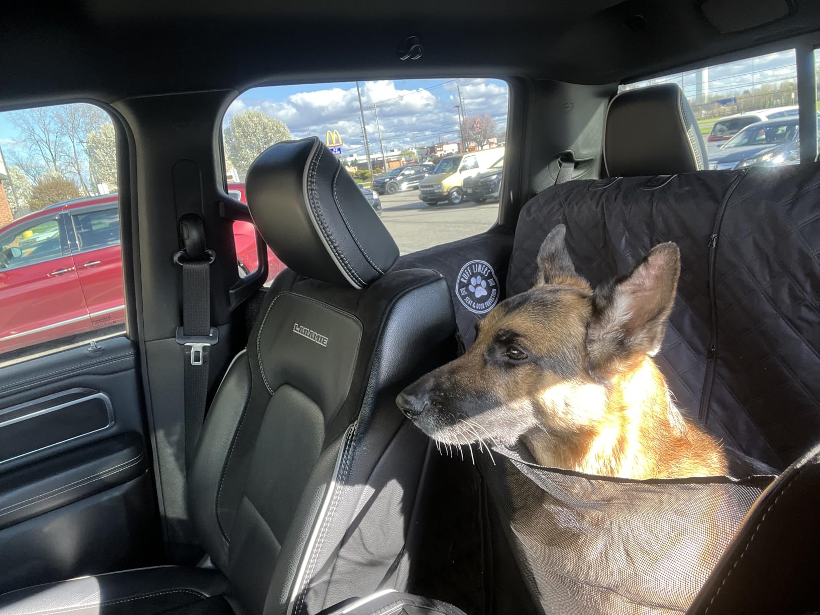 Ruff Liners Dog Hammock for Car, Black - As Seen on Shark Tank - Back Seat Protector for Cars, Mid-Size SUVs, & Mid-Size Trucks - Waterproof, Touch Fasteners, & Belt Slots - Heavy Duty Dog Seat Cover customer photo 2