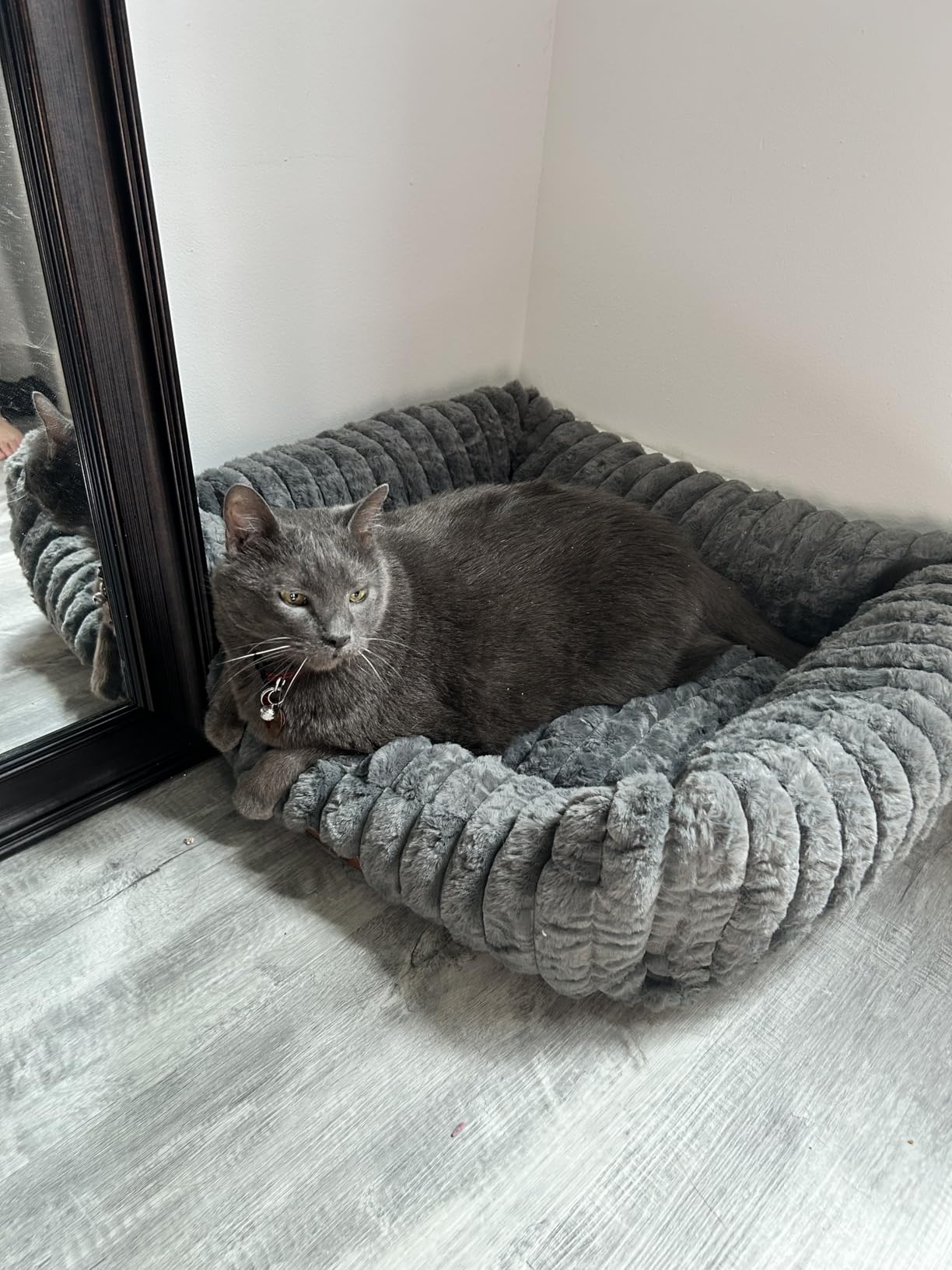 ZOMISIA Large Cat Beds - Orthopedic Dog Bed for Medium Dogs, Rectangle Pet Bed with Fluffy Removable Washable Cover, 25x21x9inches, Grey customer photo 2