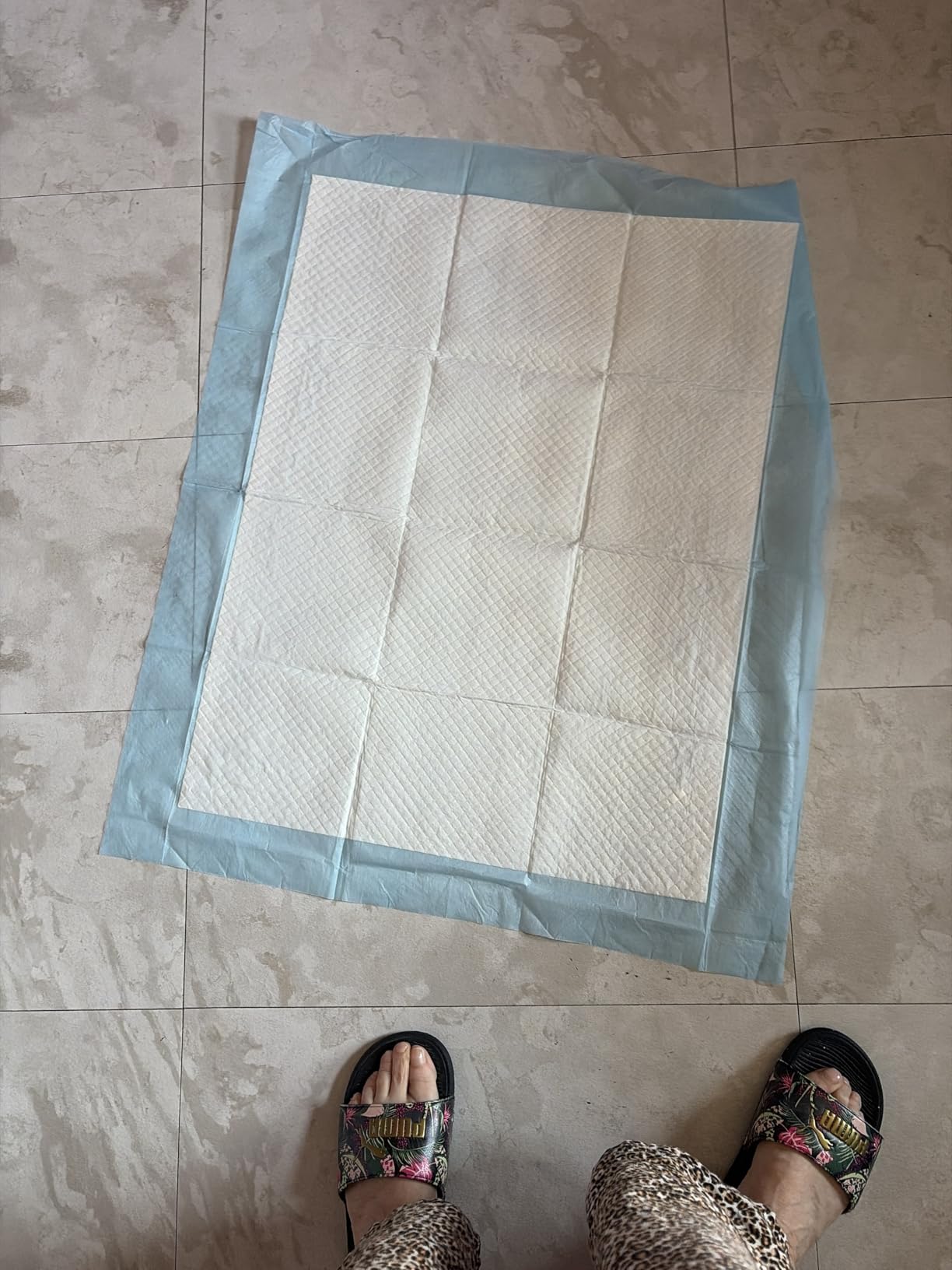 50-Pack Extra Large Pee Pads - 34